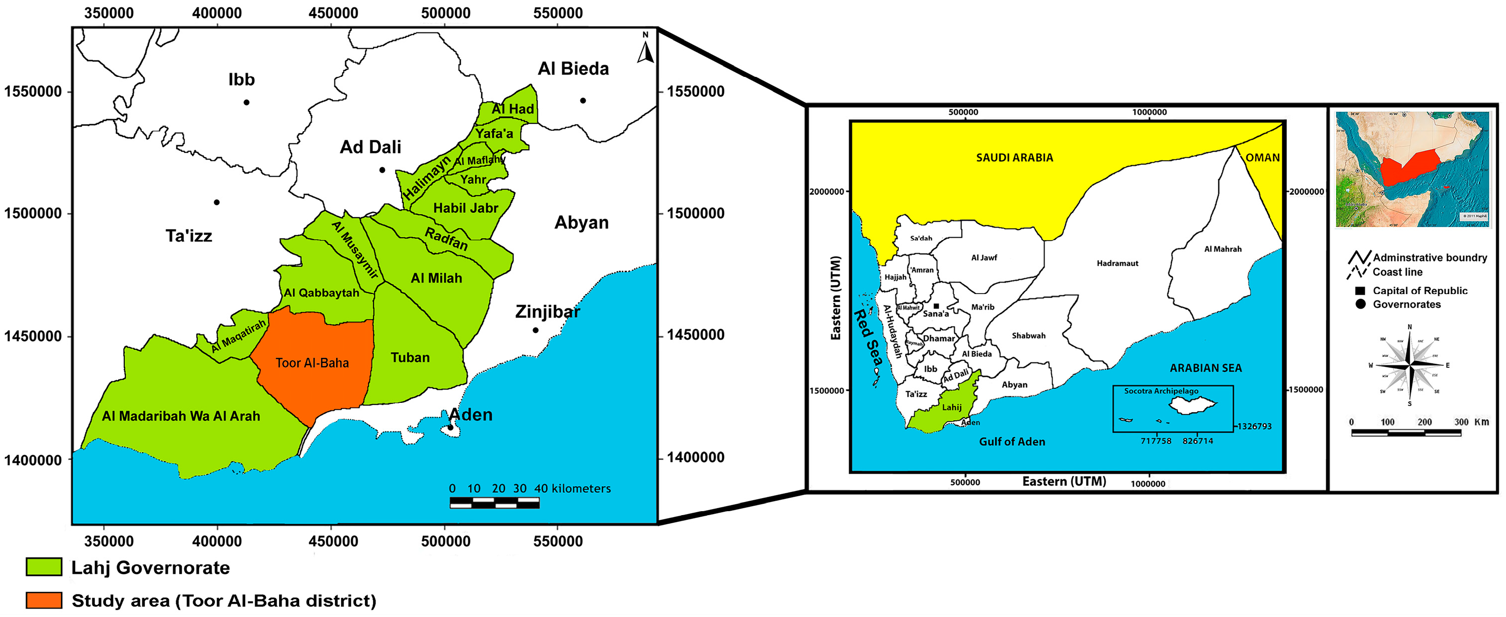 洋書 A handbook of the Yemen Flora Amazon.com: A Handbook of Yemen Flora: 9780710300881: Wood