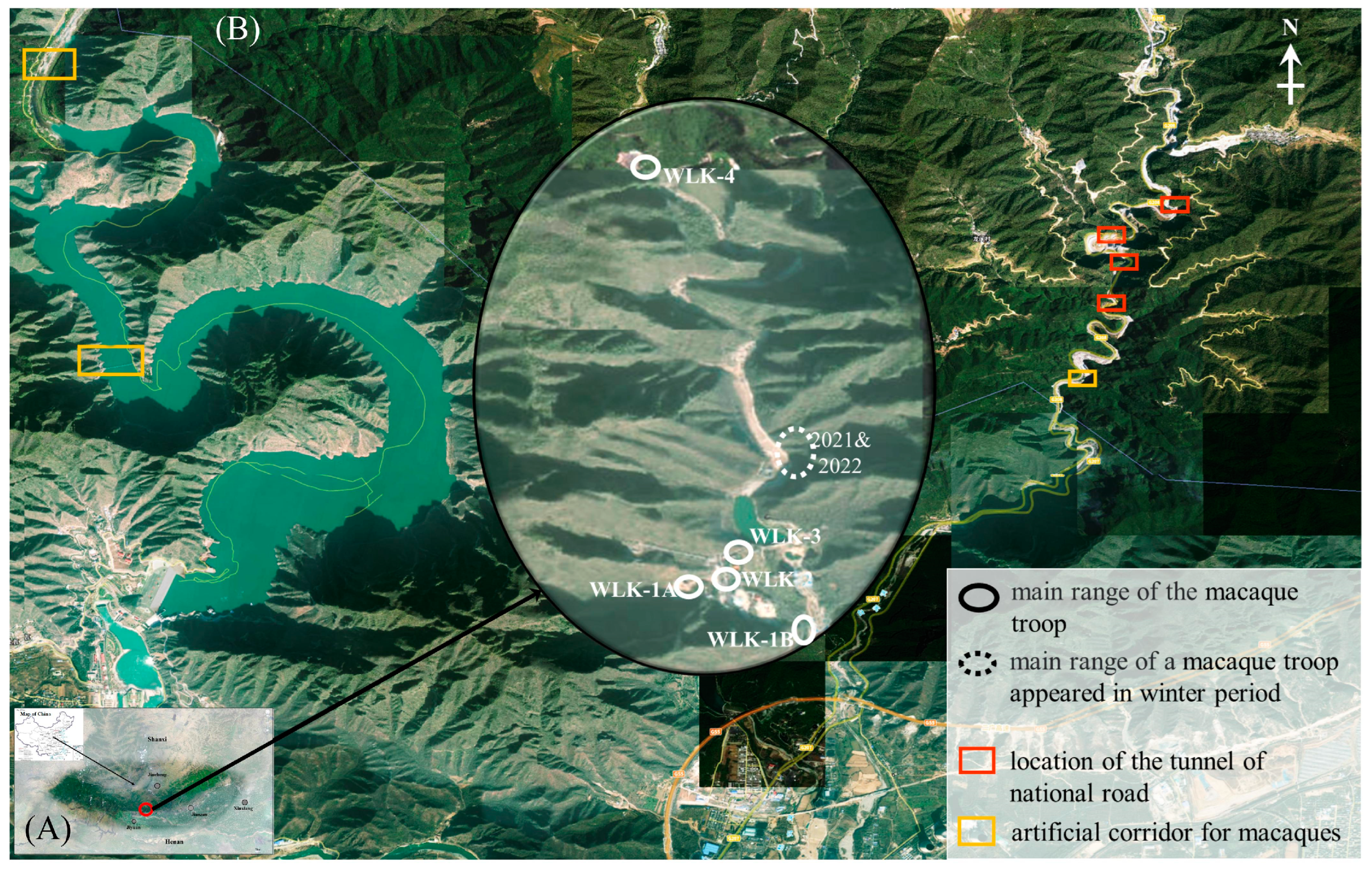 Diversity 17 00244 g001