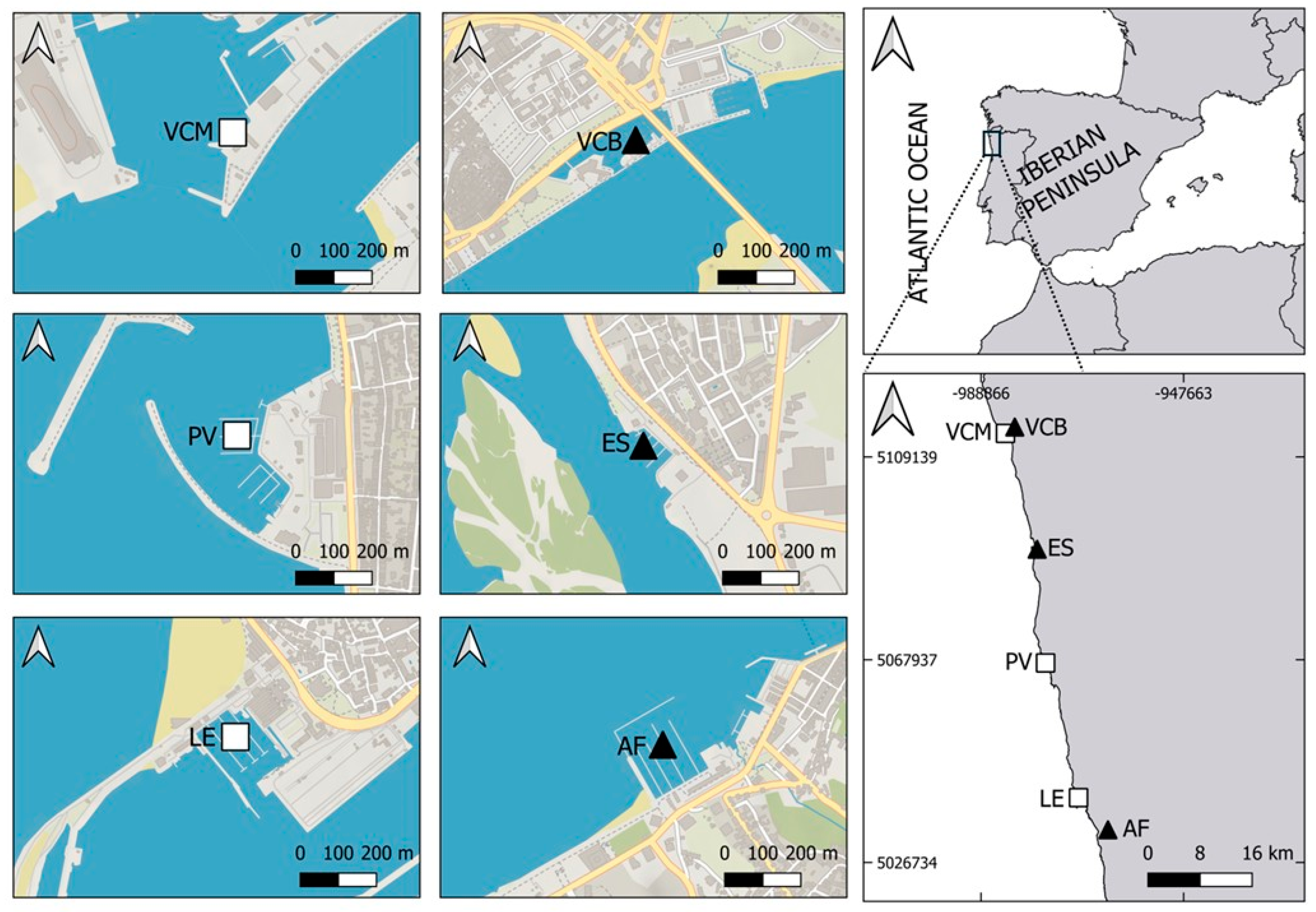 Diversity 17 00245 g001 Diversity 17 00245 g001