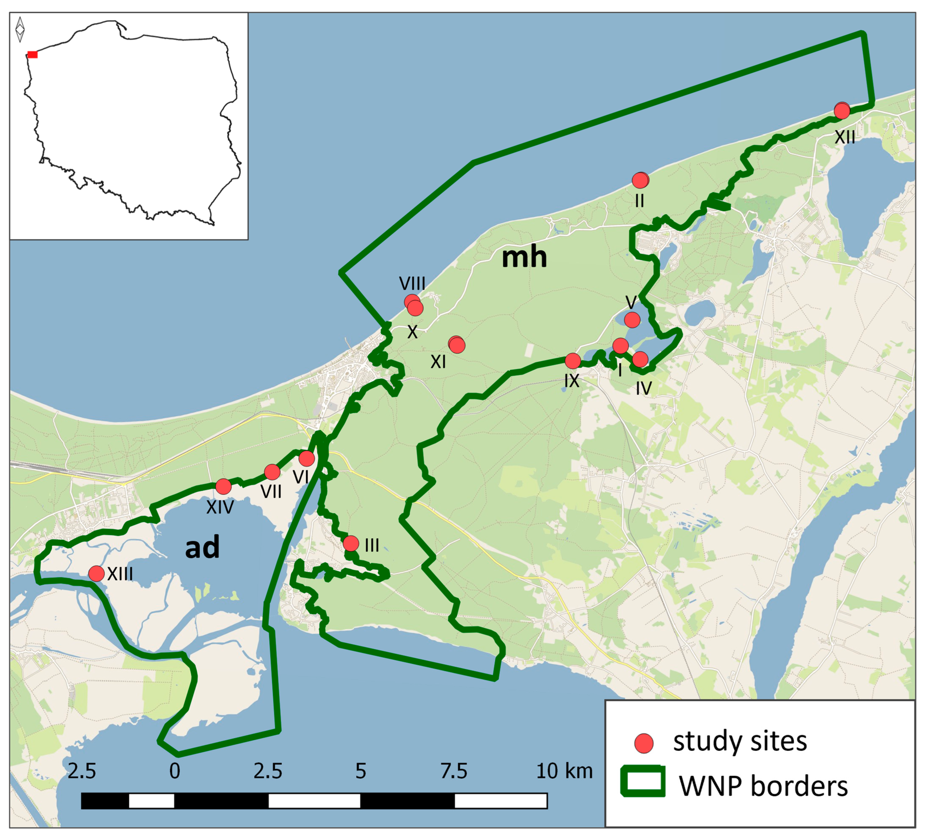 Diversity 17 00246 g001 Diversity 17 00246 g001