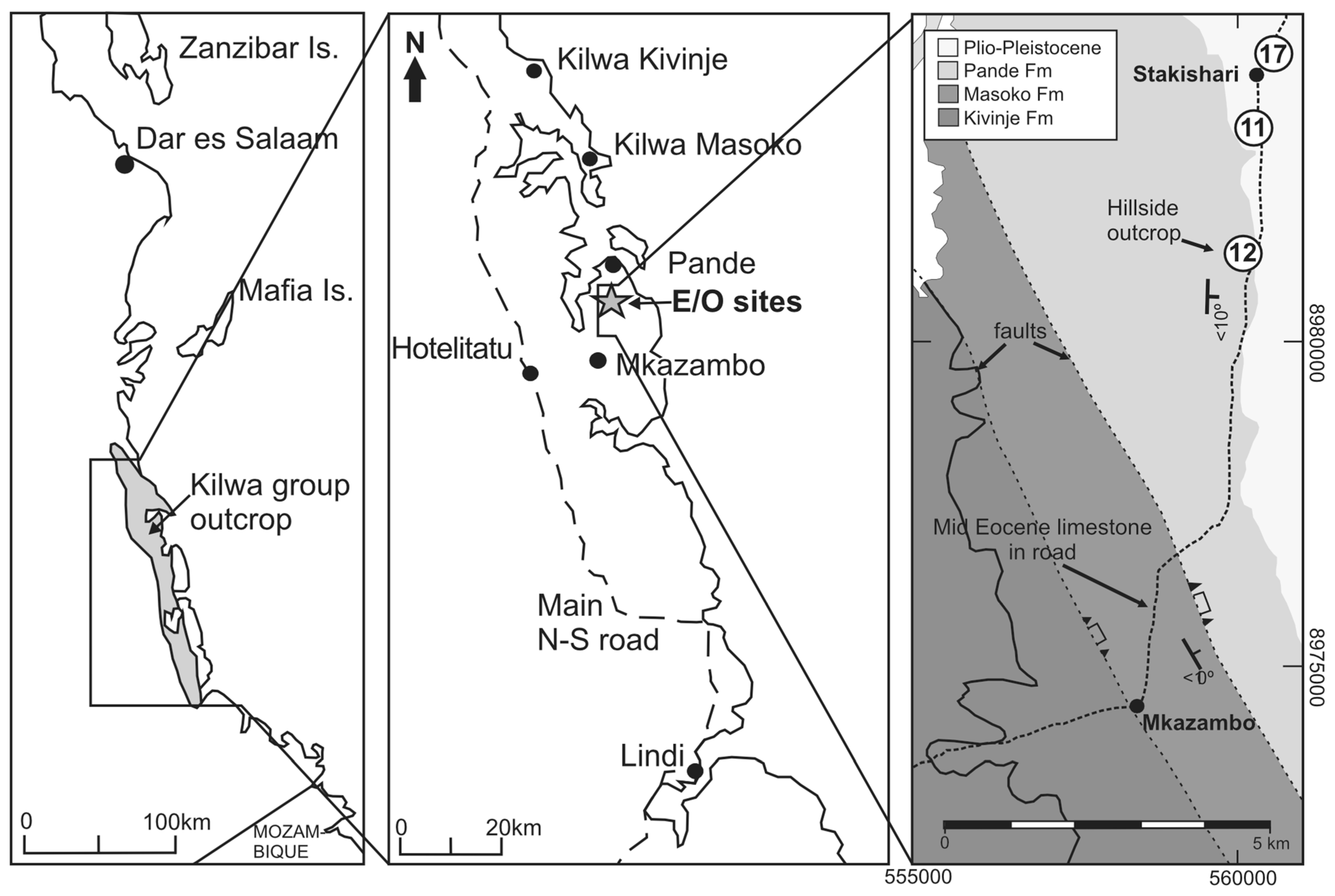 Diversity 17 00255 g002