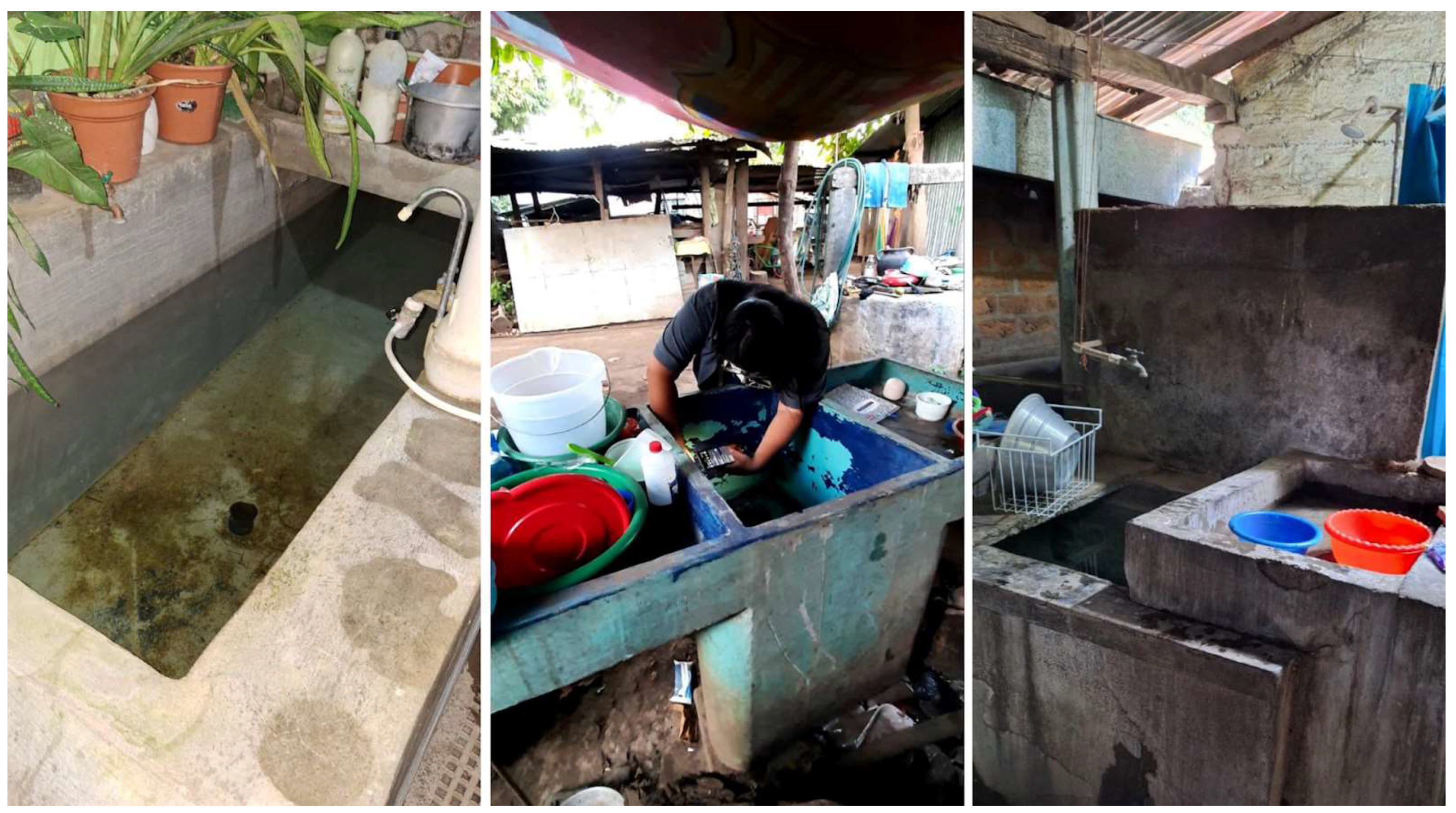 Diversity 17 00257 g001