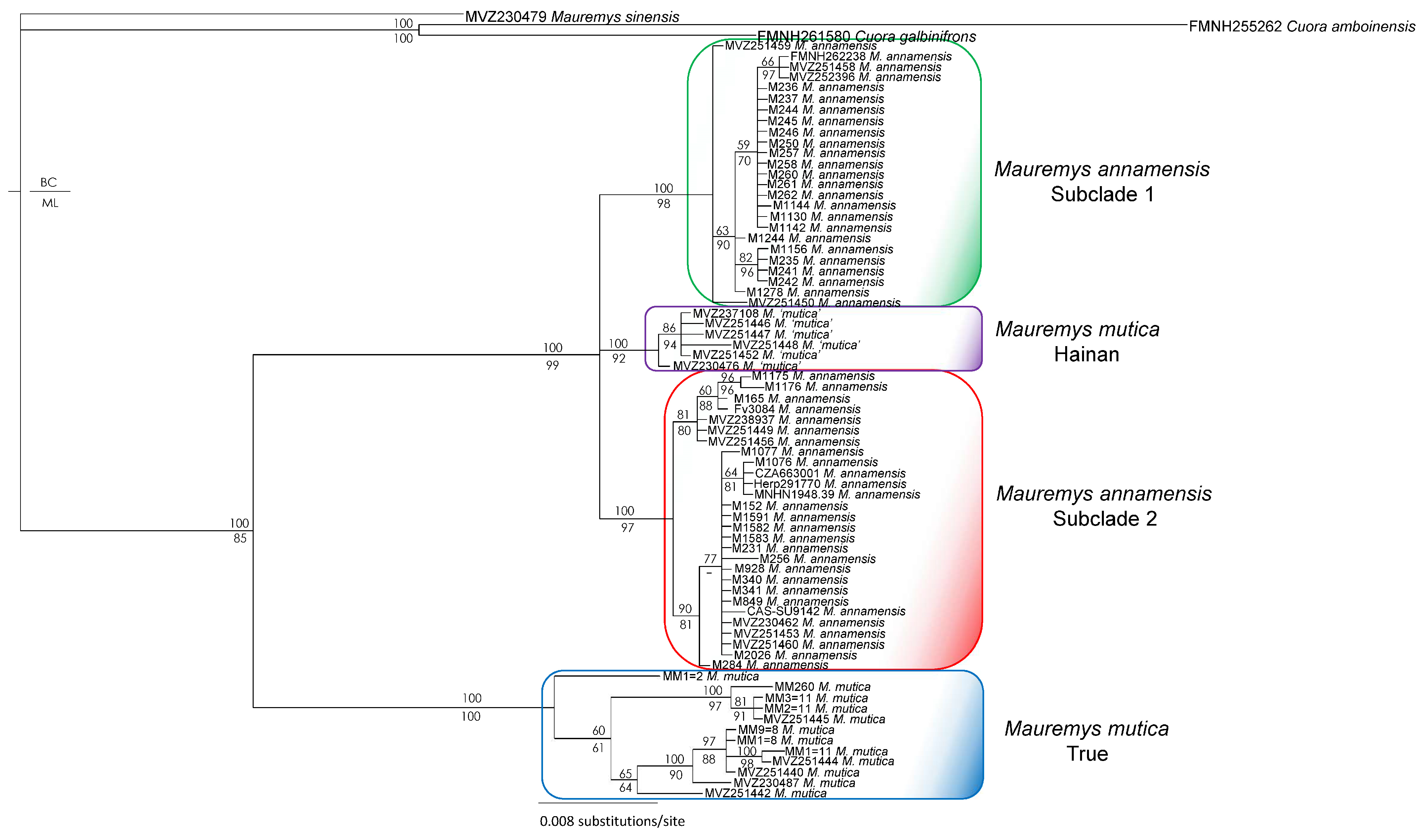 Diversity 17 00260 g002