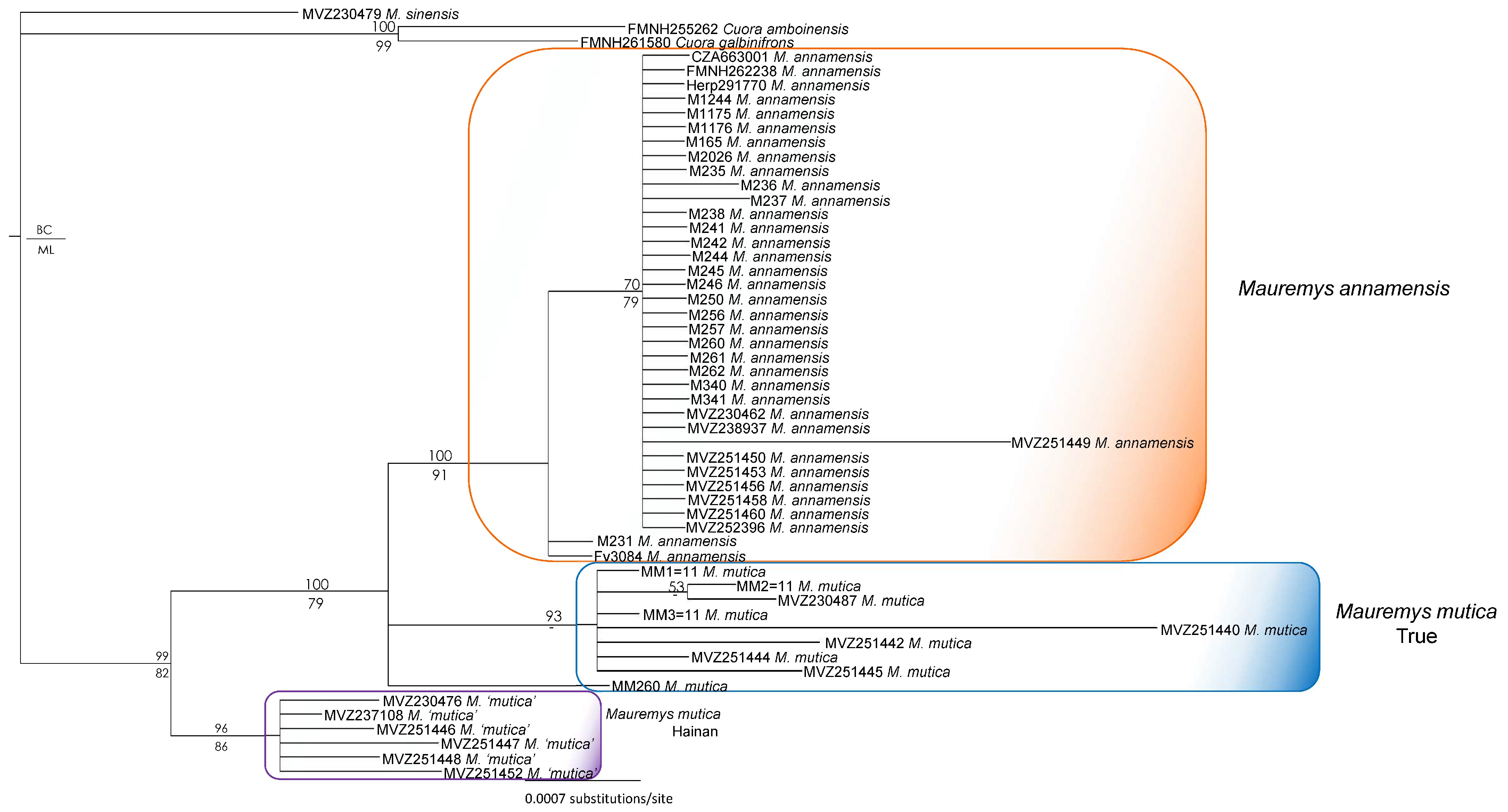 Diversity 17 00260 g003