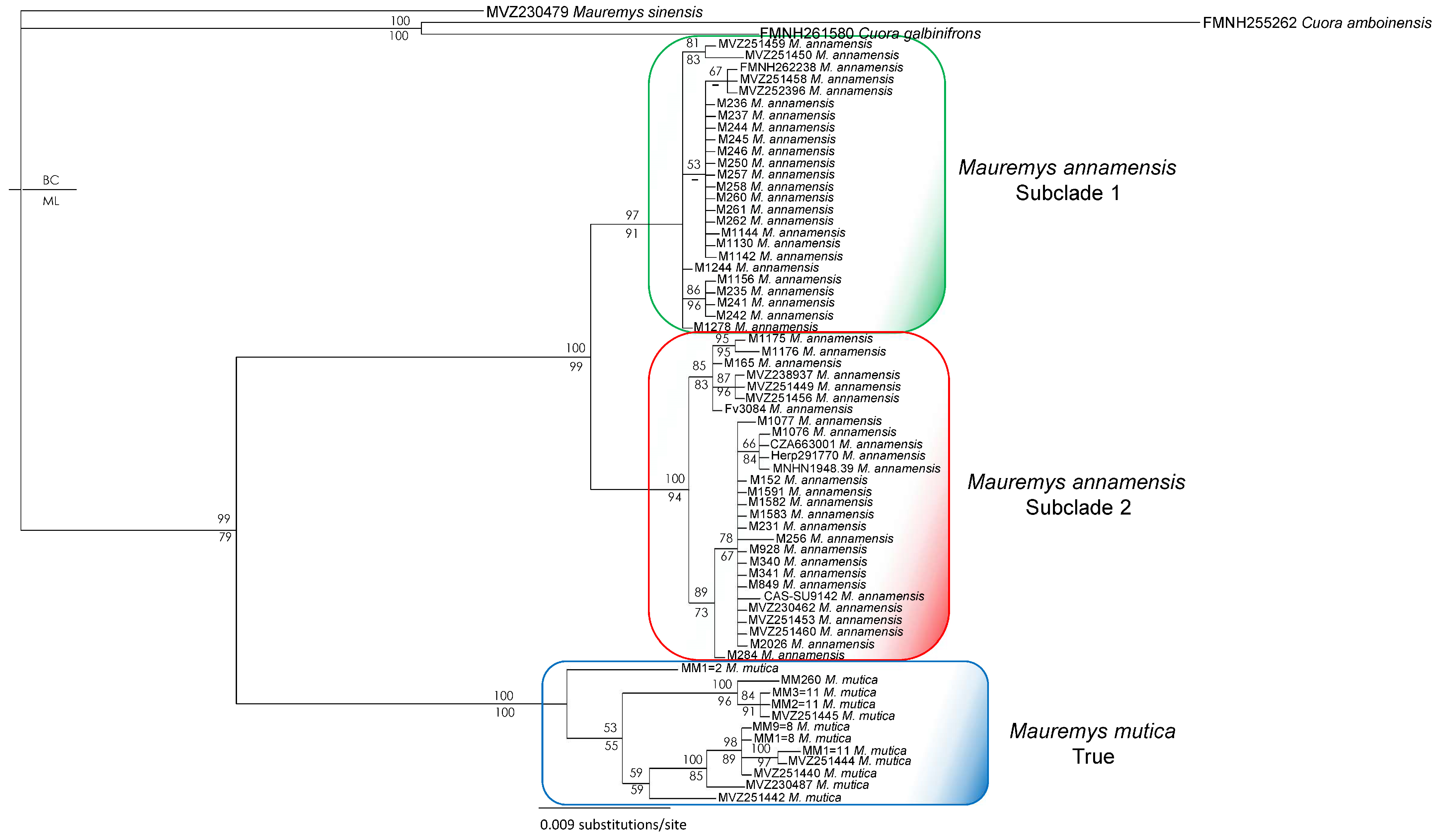 Diversity 17 00260 g005