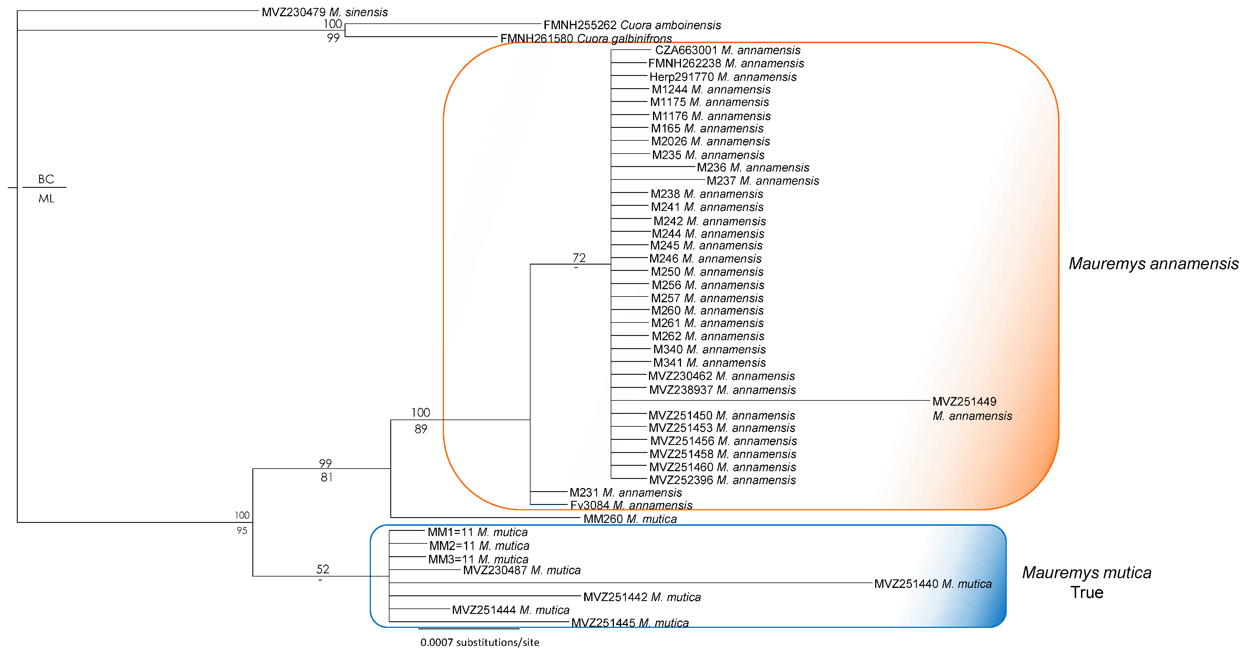 Diversity 17 00260 g006