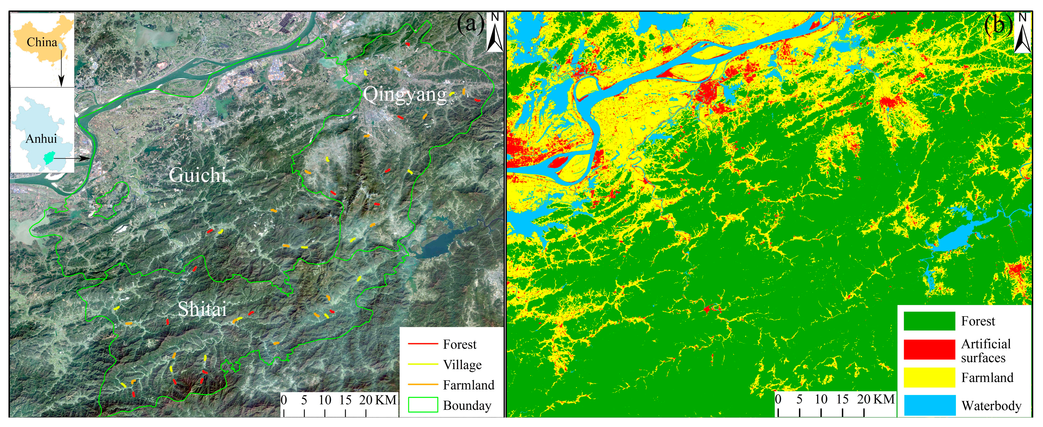 Diversity 17 00261 g001