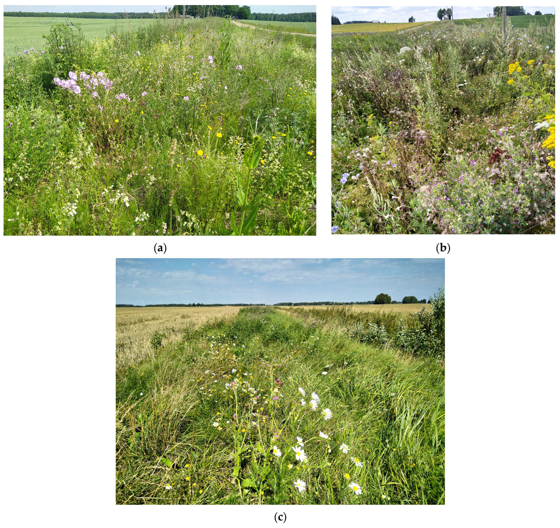 Diversity 17 00263 g001