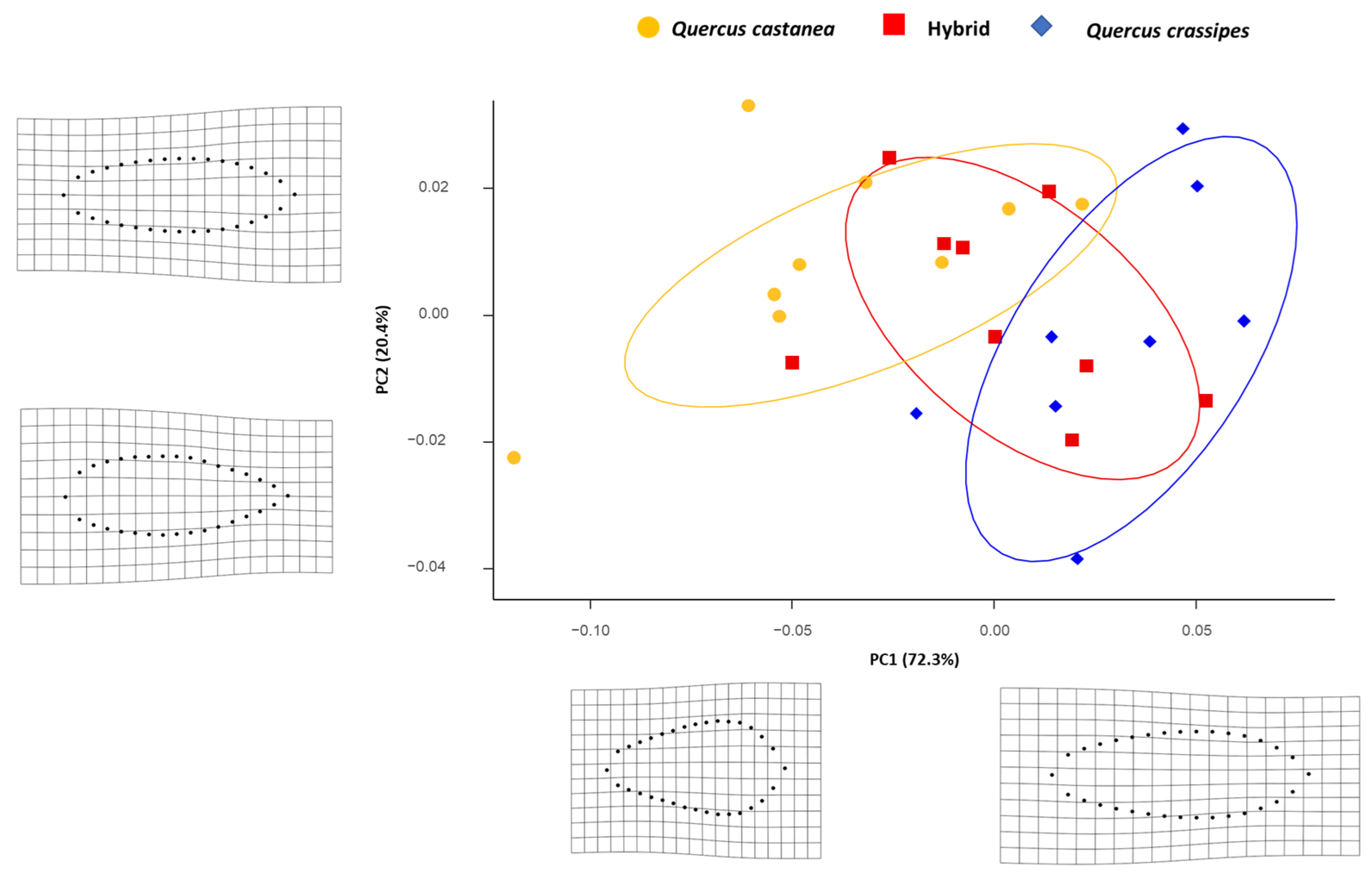 Diversity 17 00264 g002 Diversity 17 00264 g002