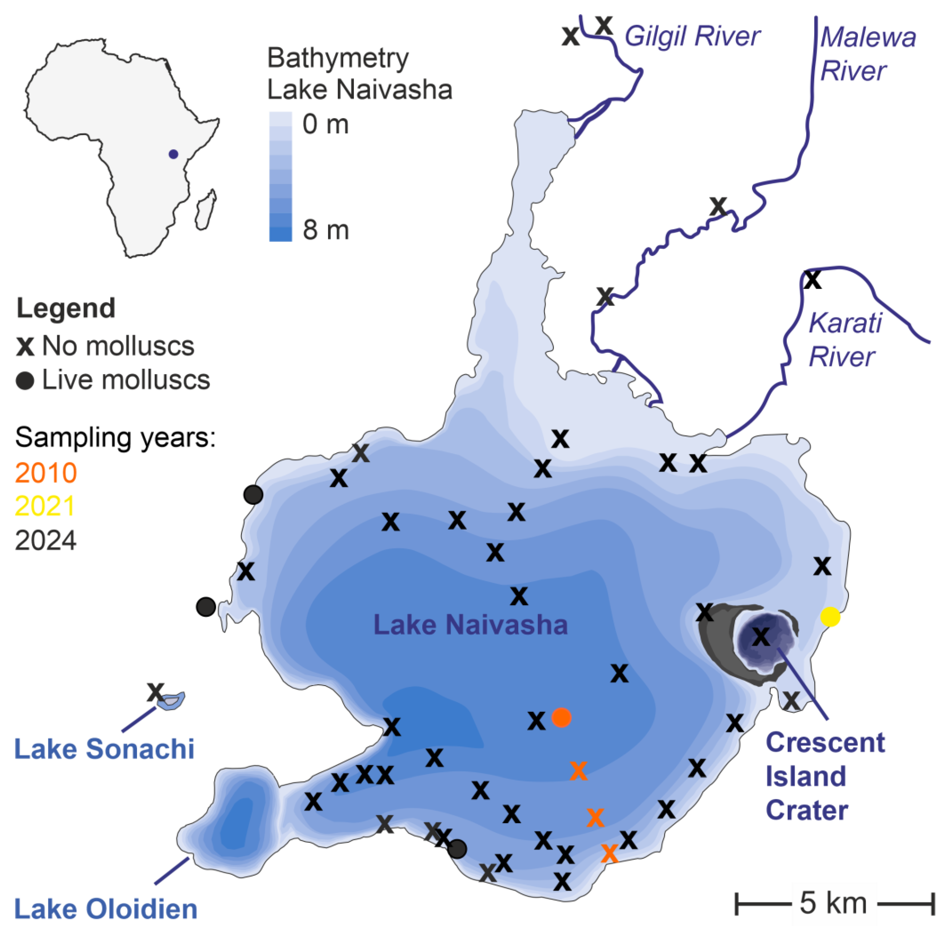 Diversity 17 00265 g001
