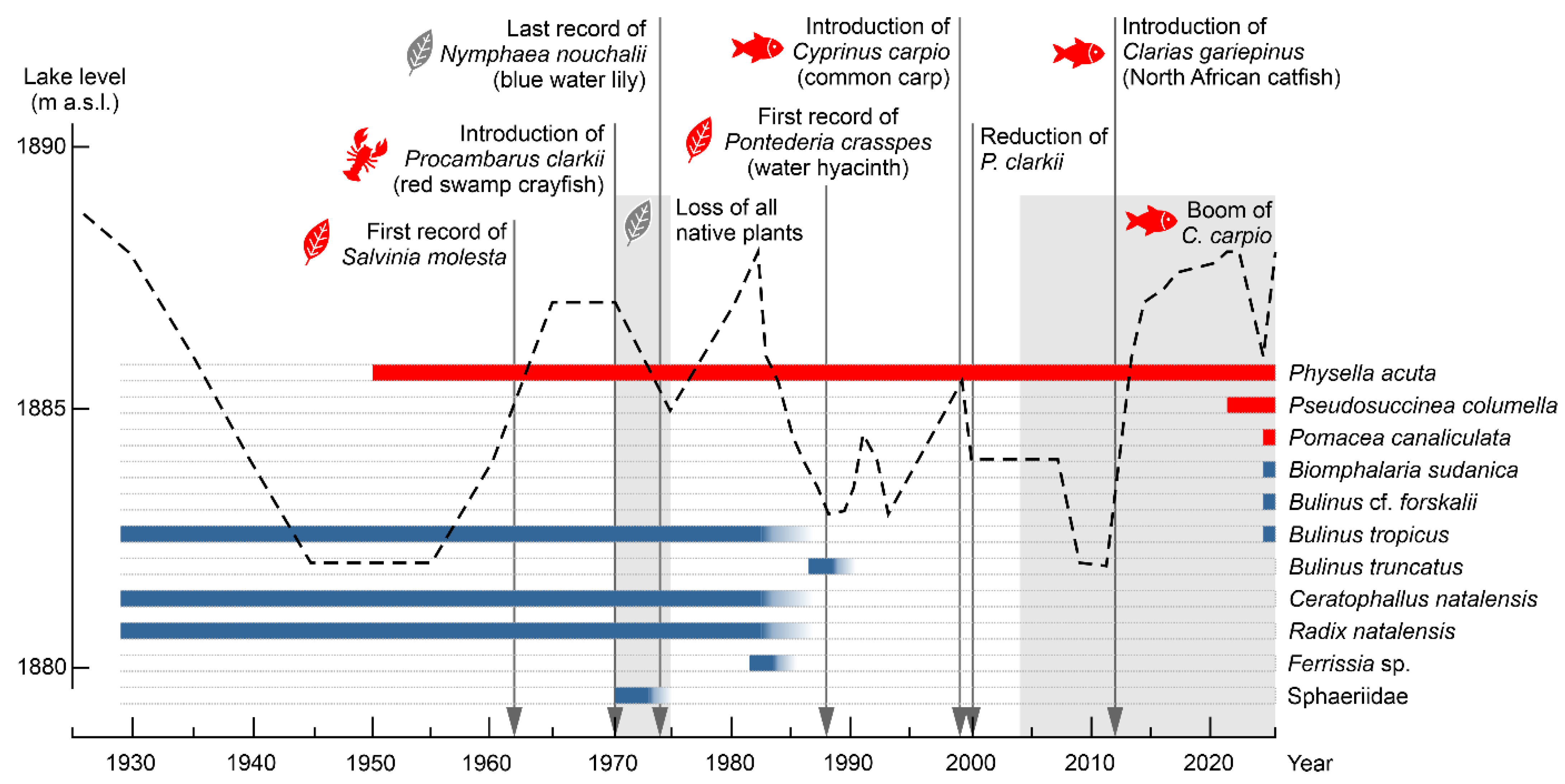 Diversity 17 00265 g003