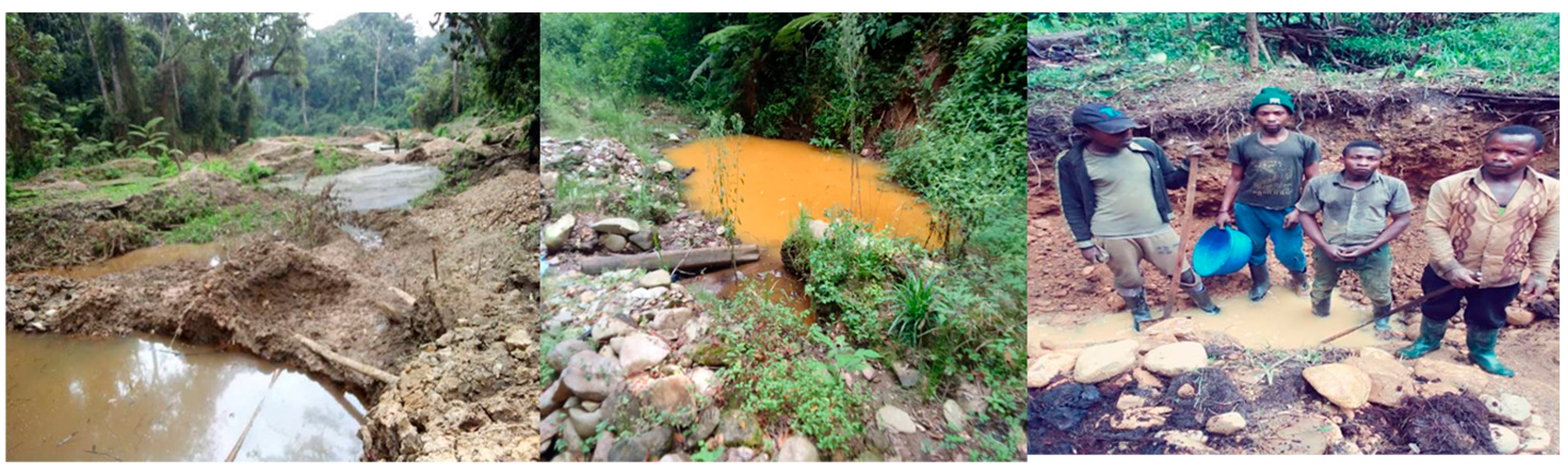 Diversity 17 00270 g004