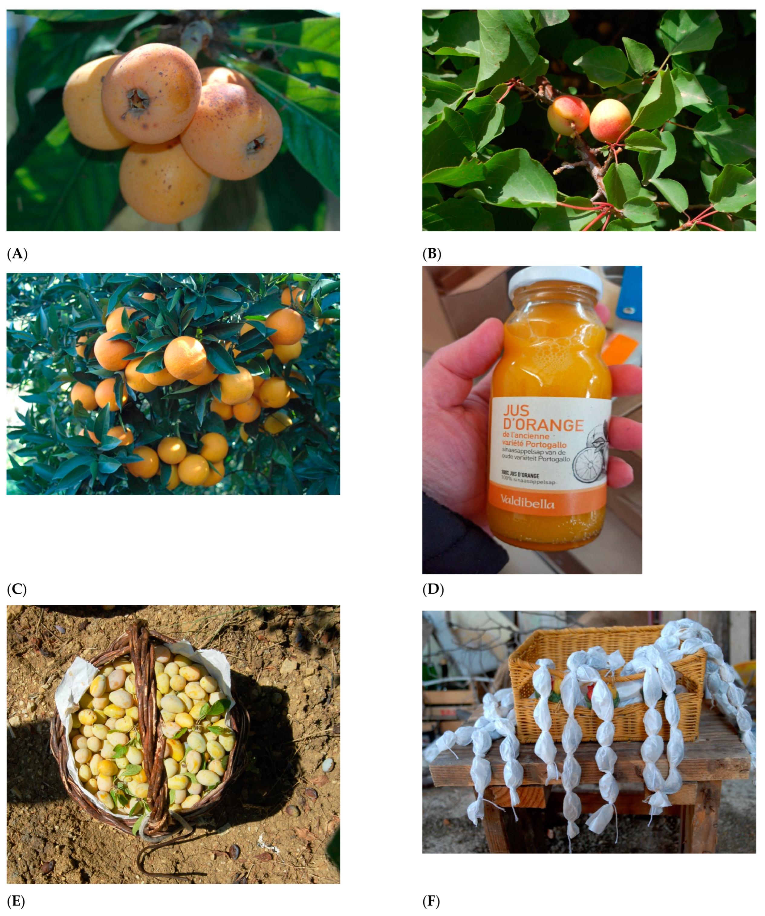 Diversity 17 00273 g002 Diversity 17 00273 g002