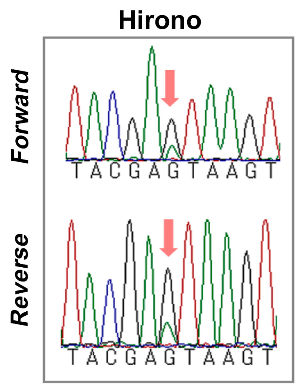 Diversity 17 00275 g003 Diversity 17 00275 g003