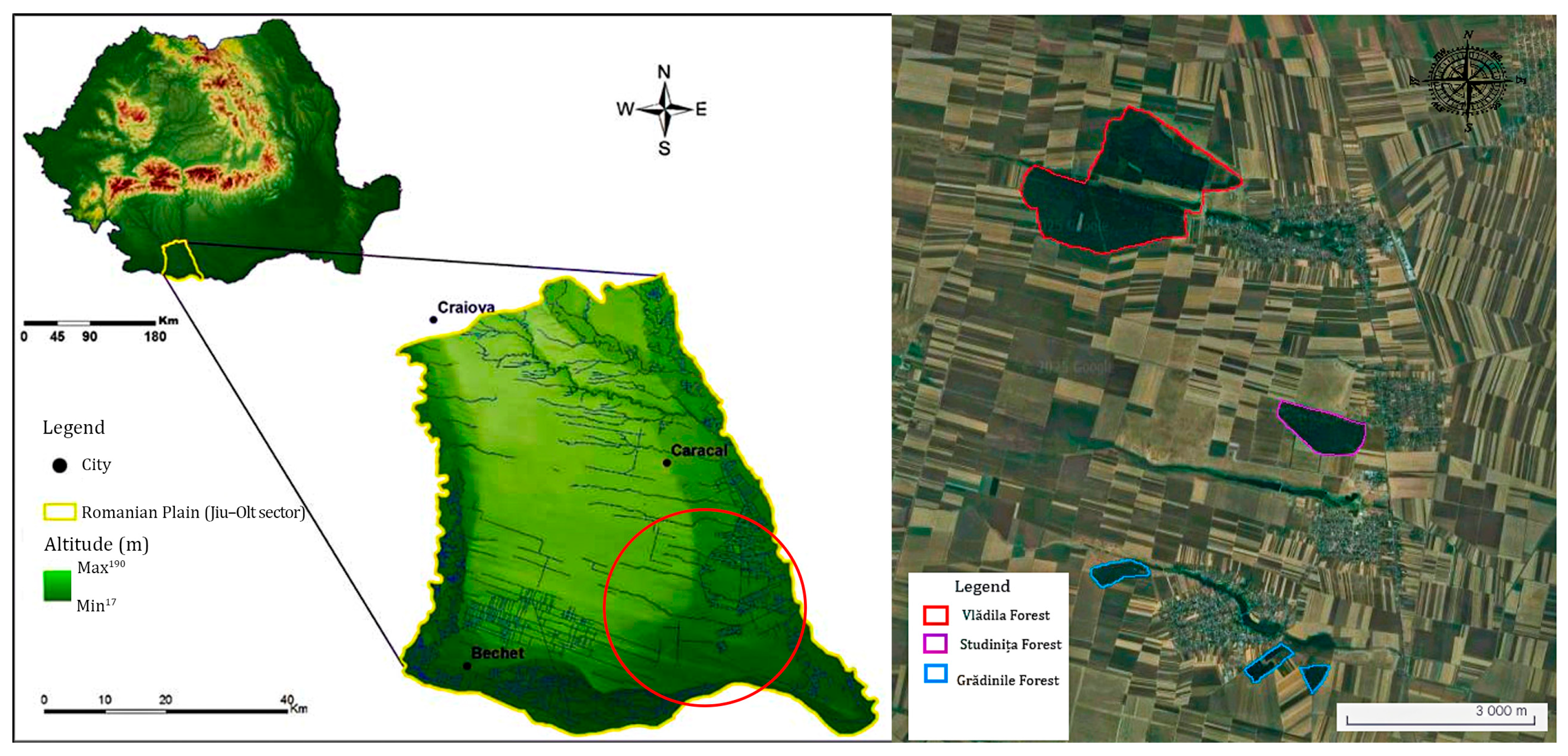 Diversity 17 00277 g001