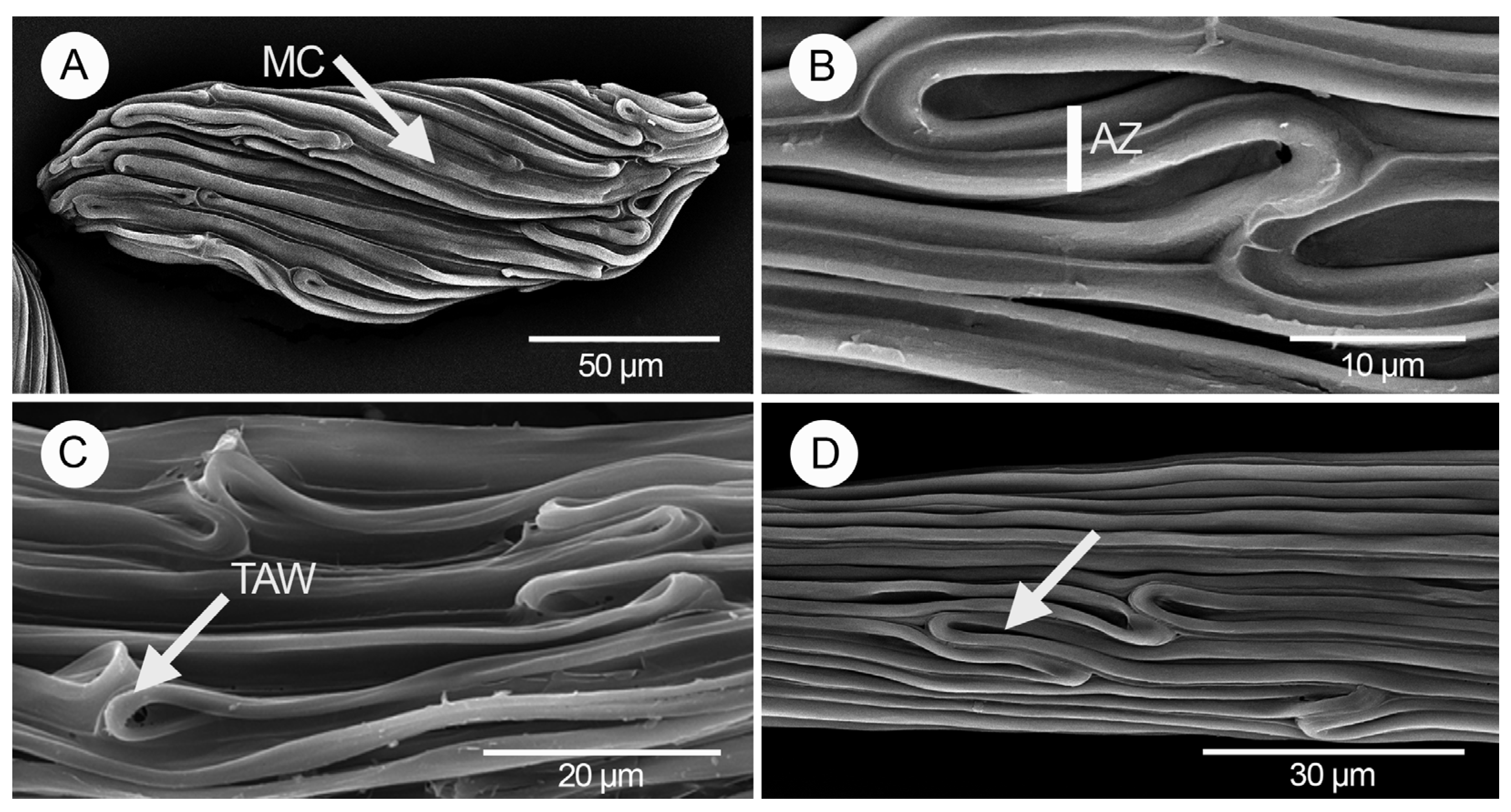 Diversity 17 00280 g001