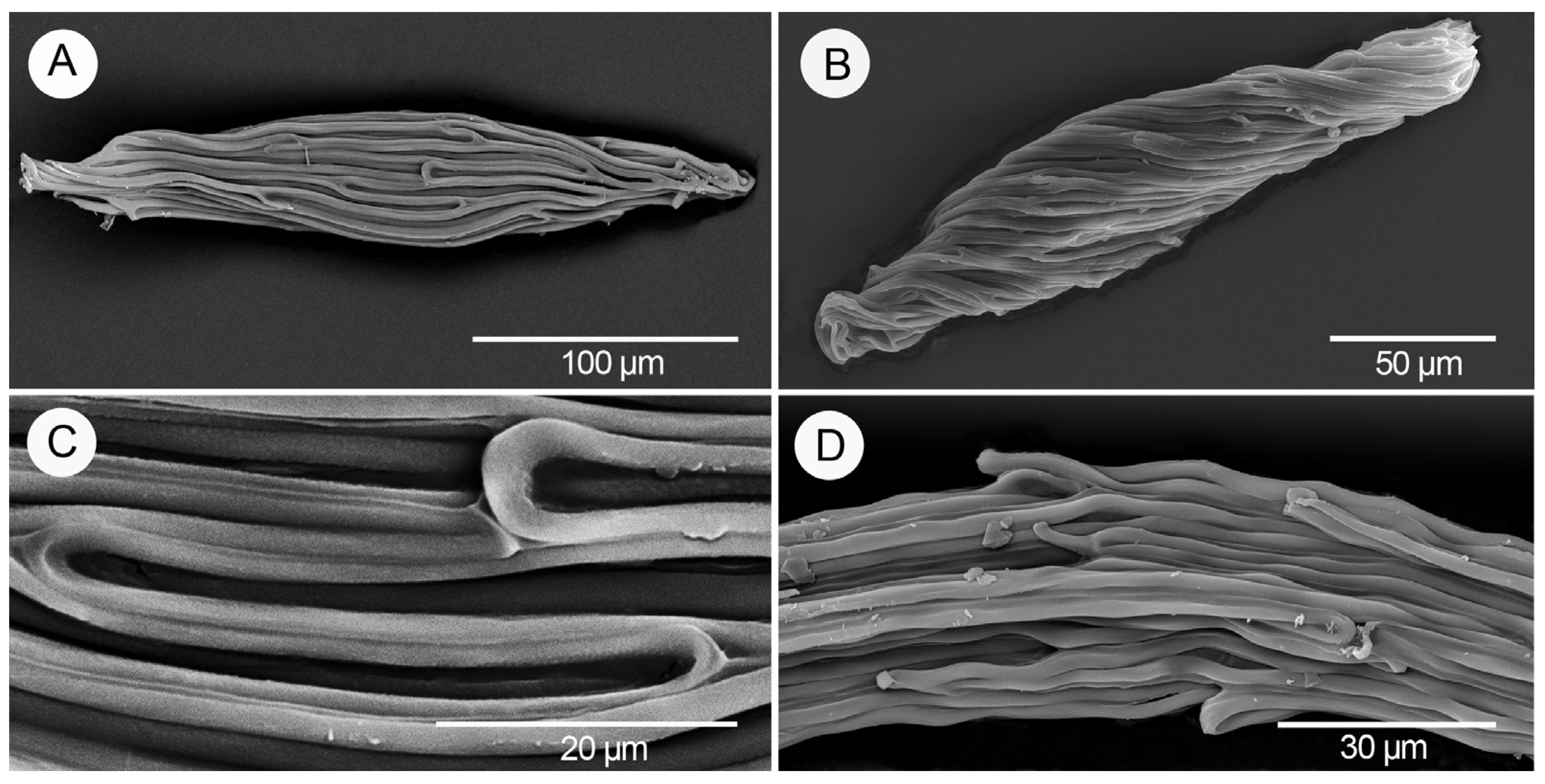 Diversity 17 00280 g003