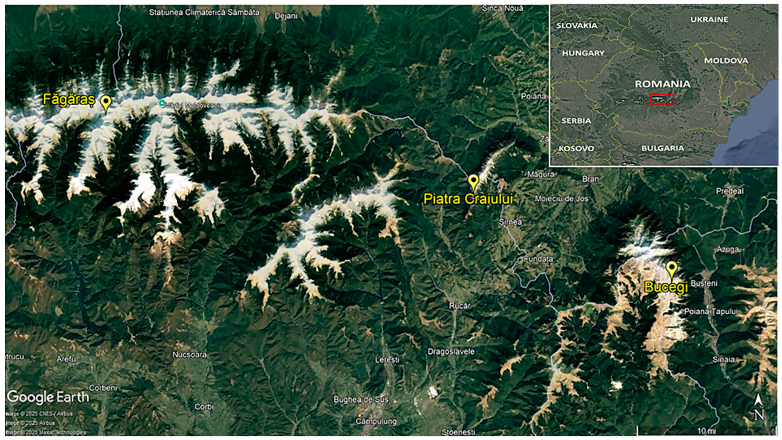 Diversity 17 00283 g001