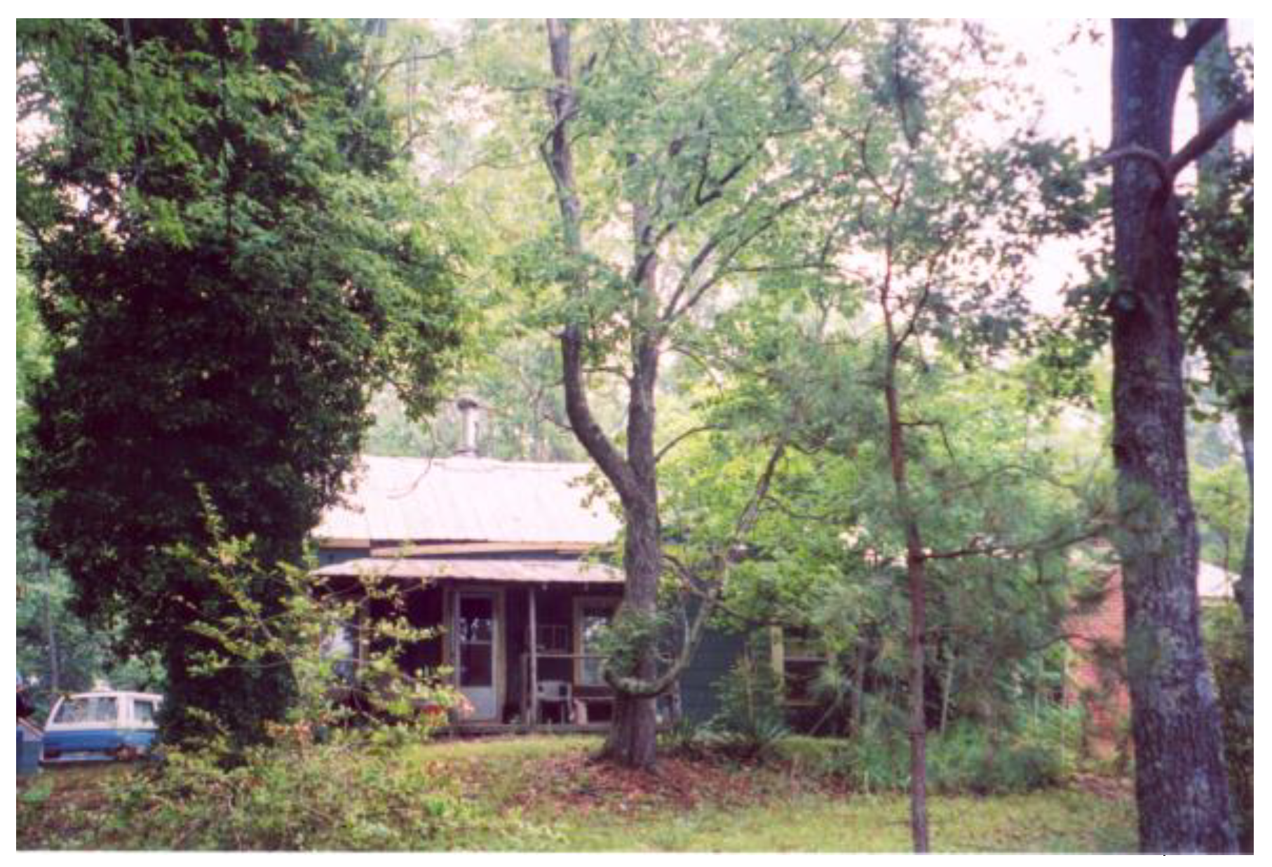 Diversity 17 00284 g002