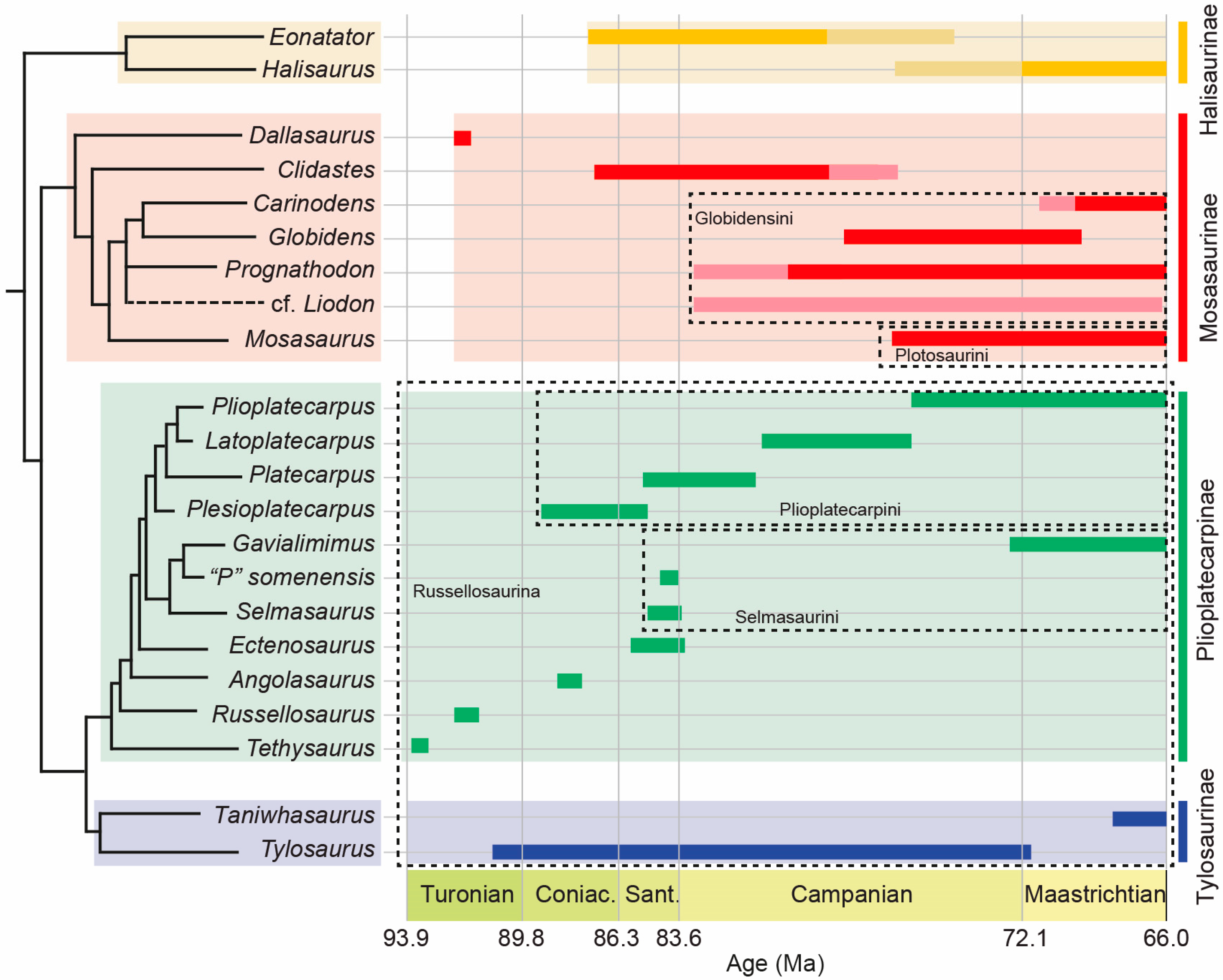 Diversity 17 00291 g001