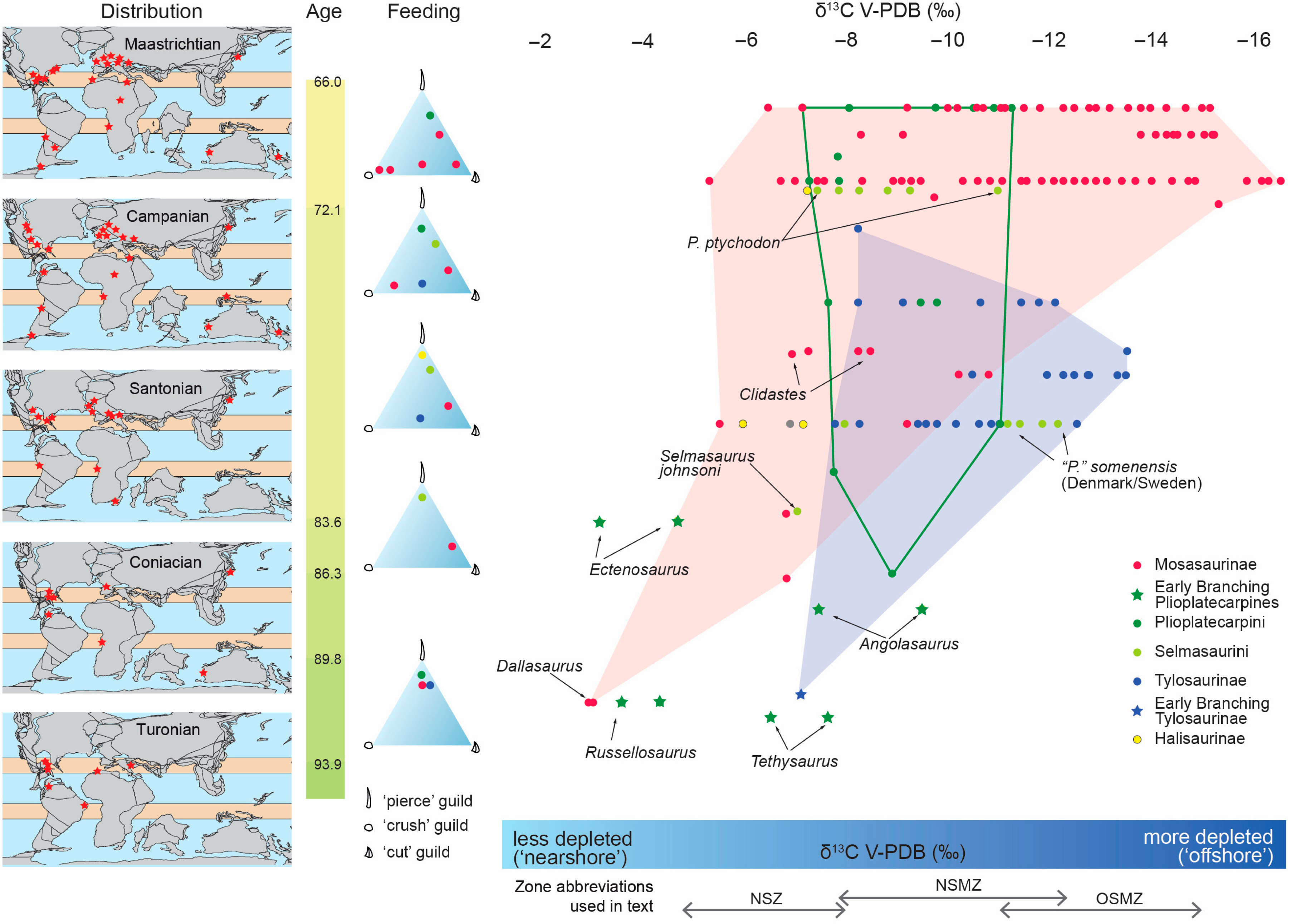 Diversity 17 00291 g003