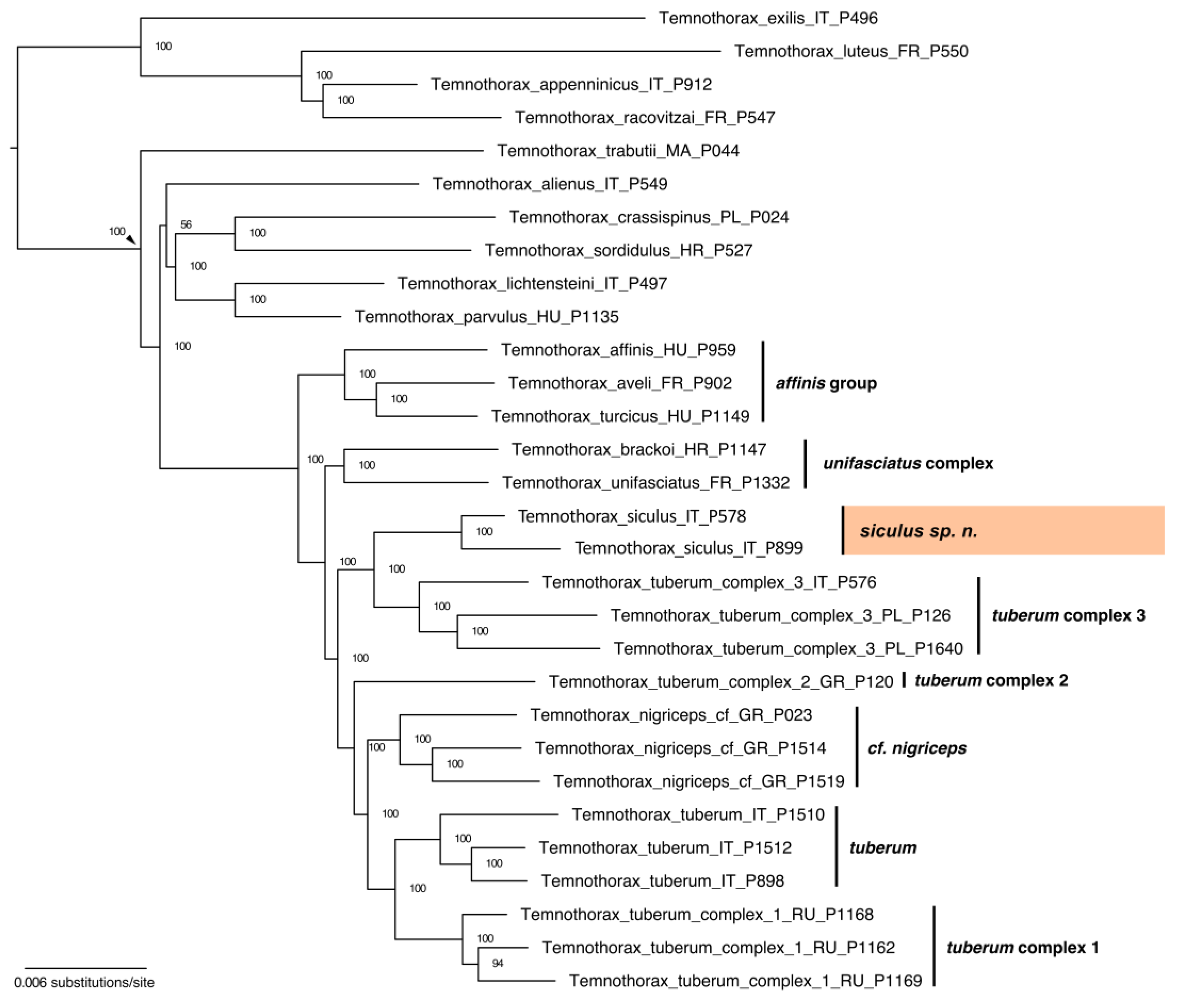 Diversity 17 00294 g004