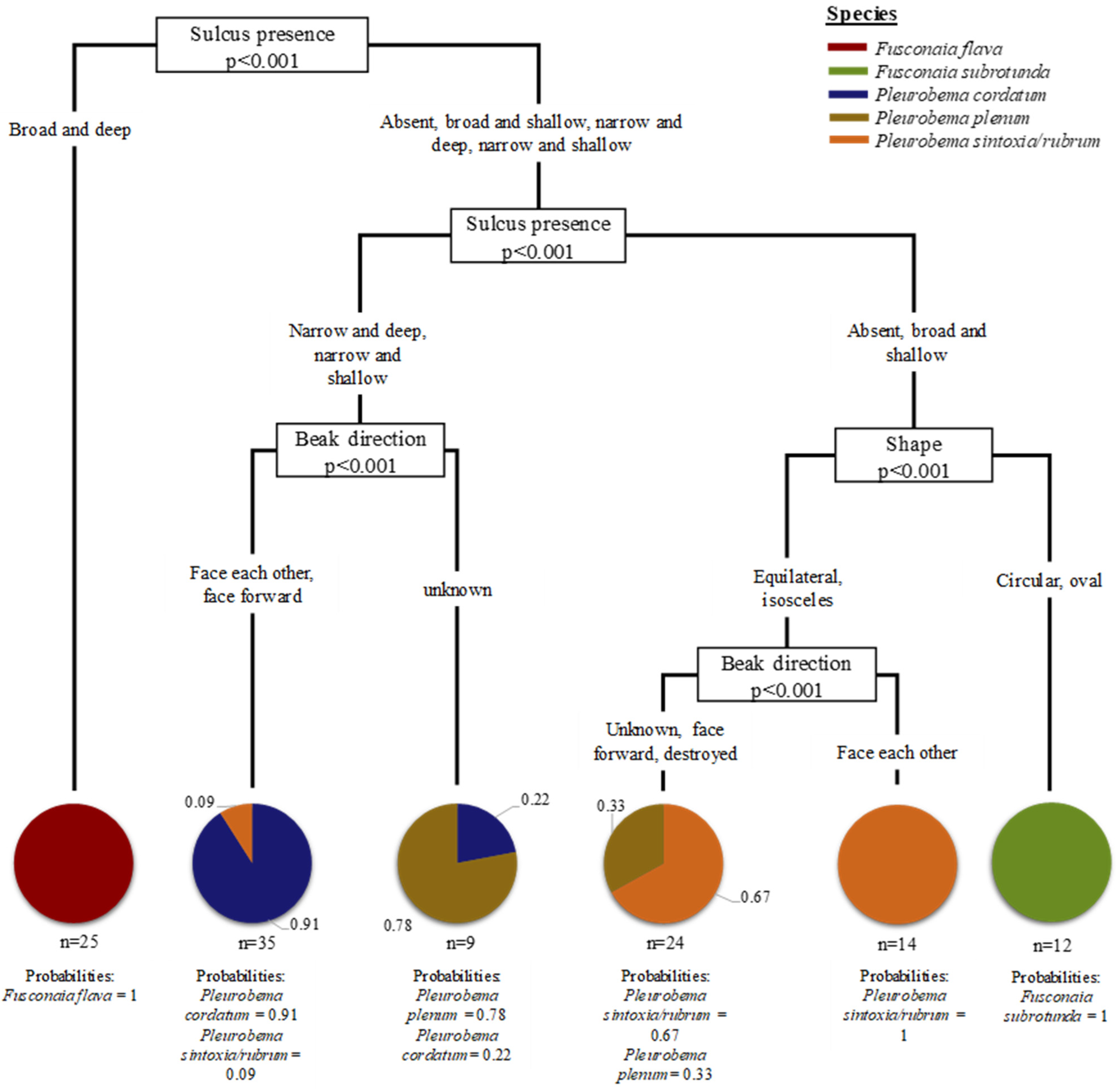 Diversity 17 00298 g005