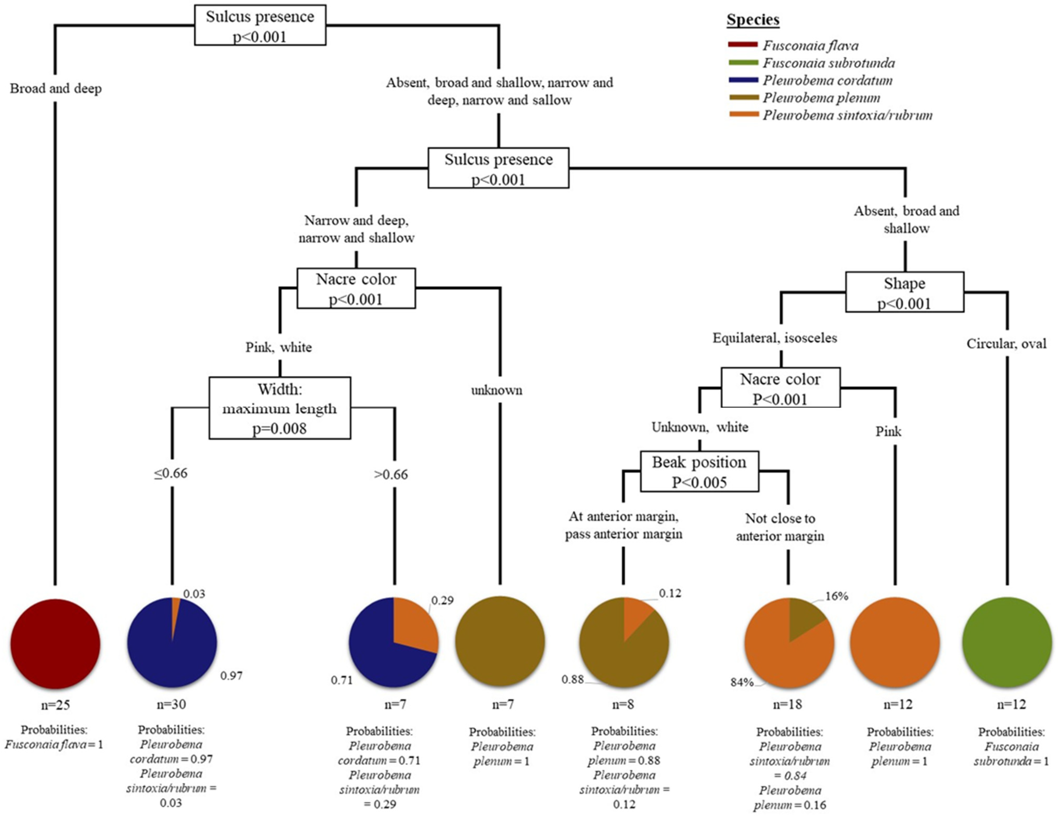 Diversity 17 00298 g006