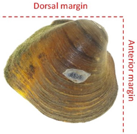 Diversity 17 00298 i014