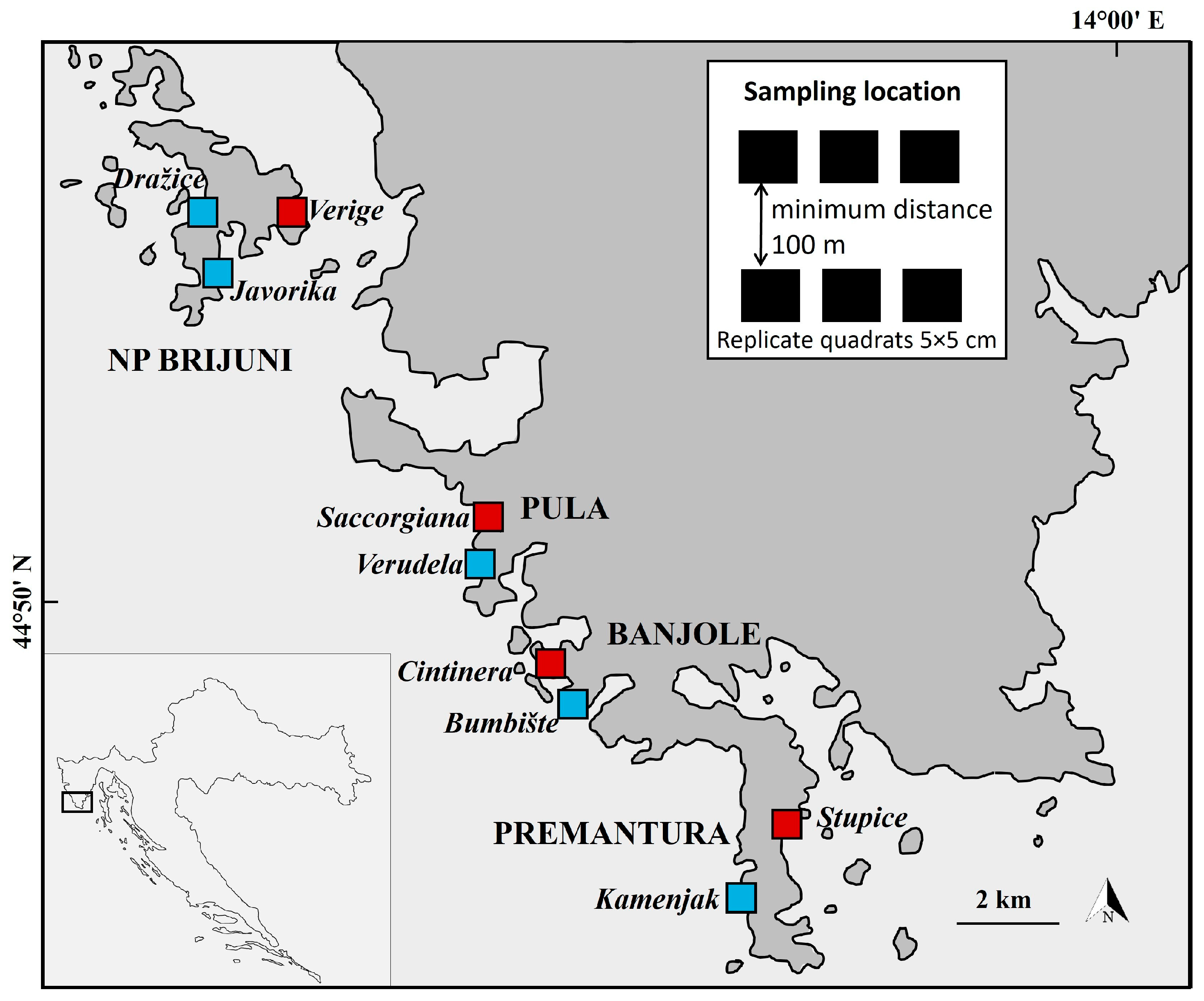 Diversity 17 00302 g001 Diversity 17 00302 g001