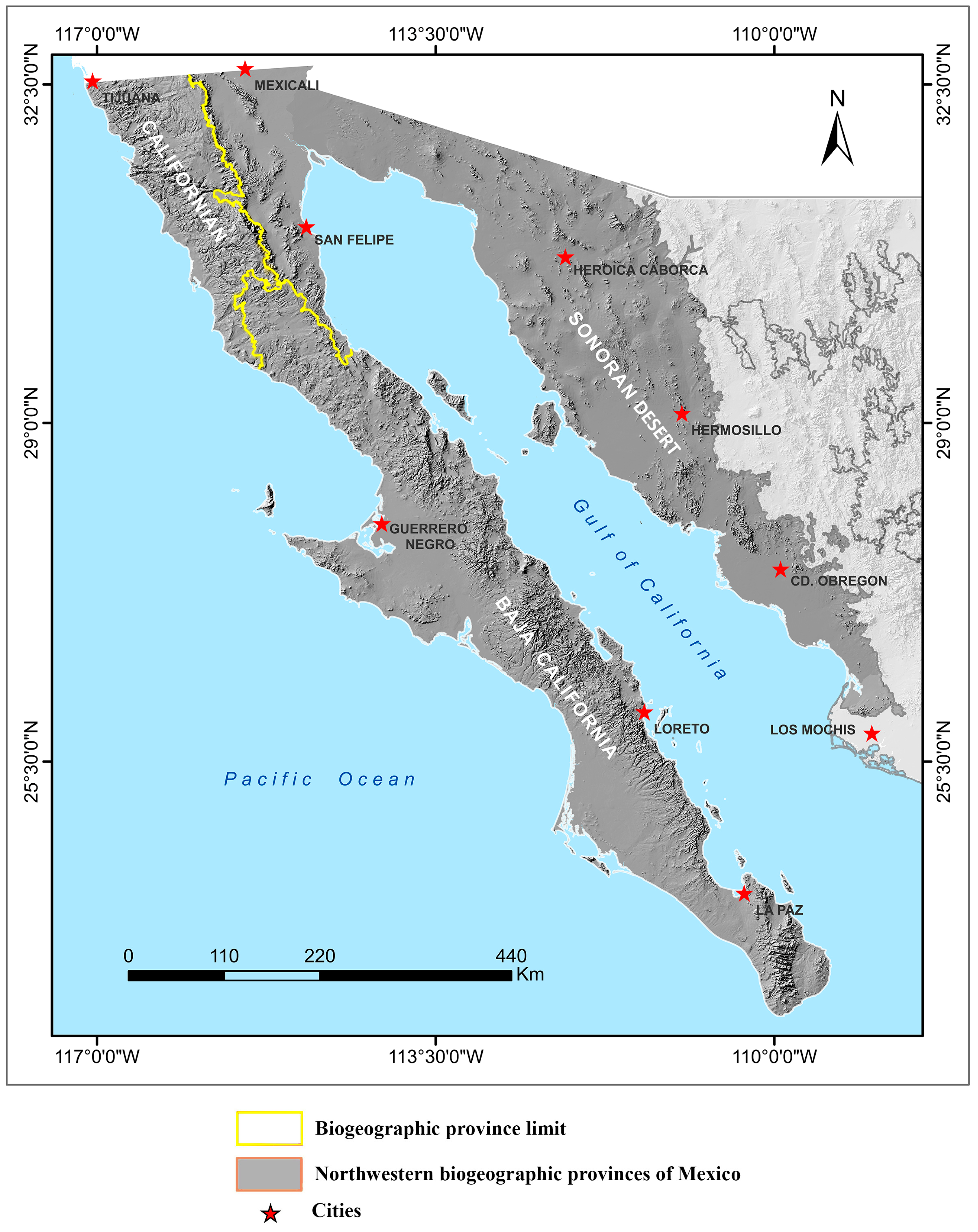 Diversity 17 00304 g001