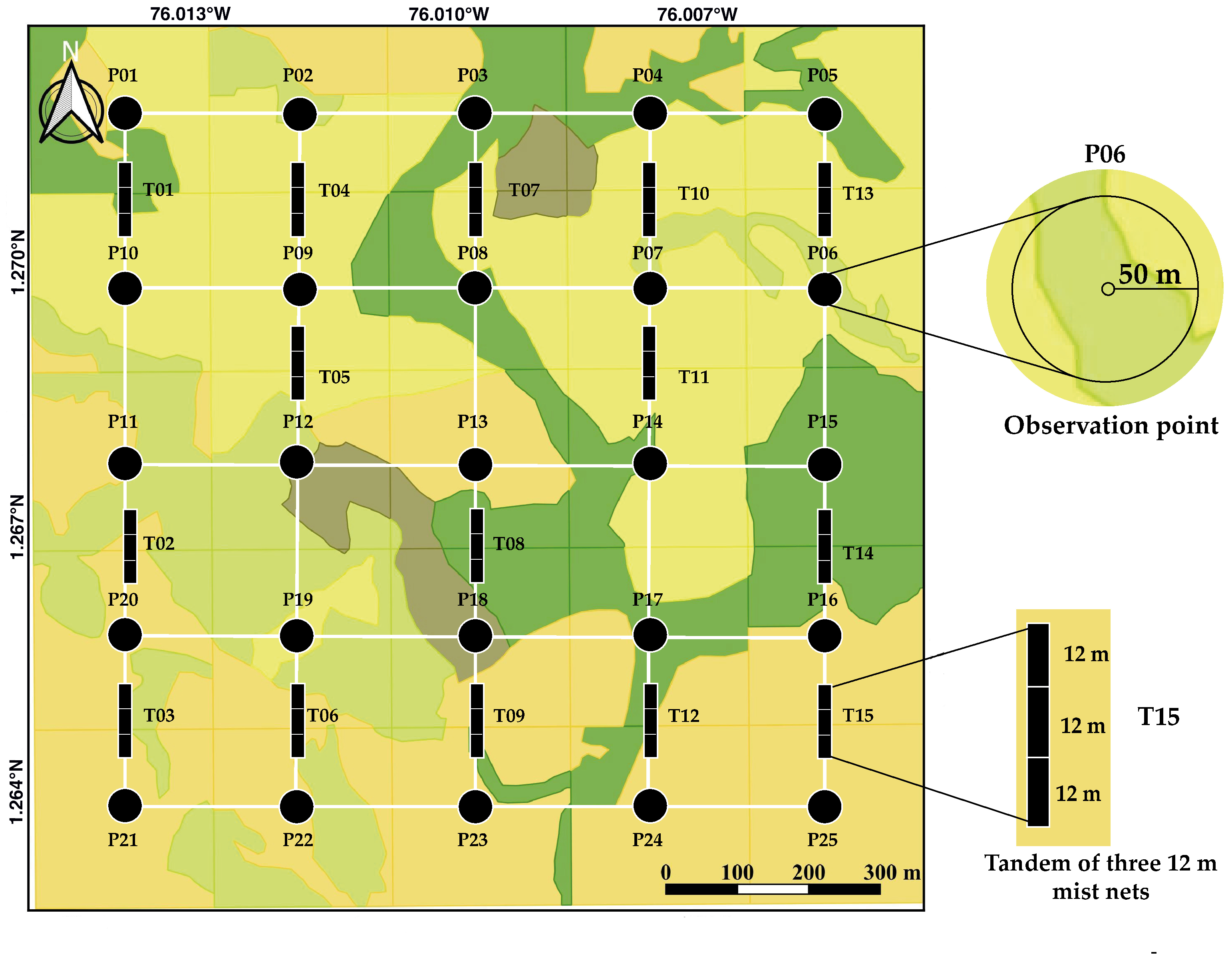 Diversity 17 00305 g003