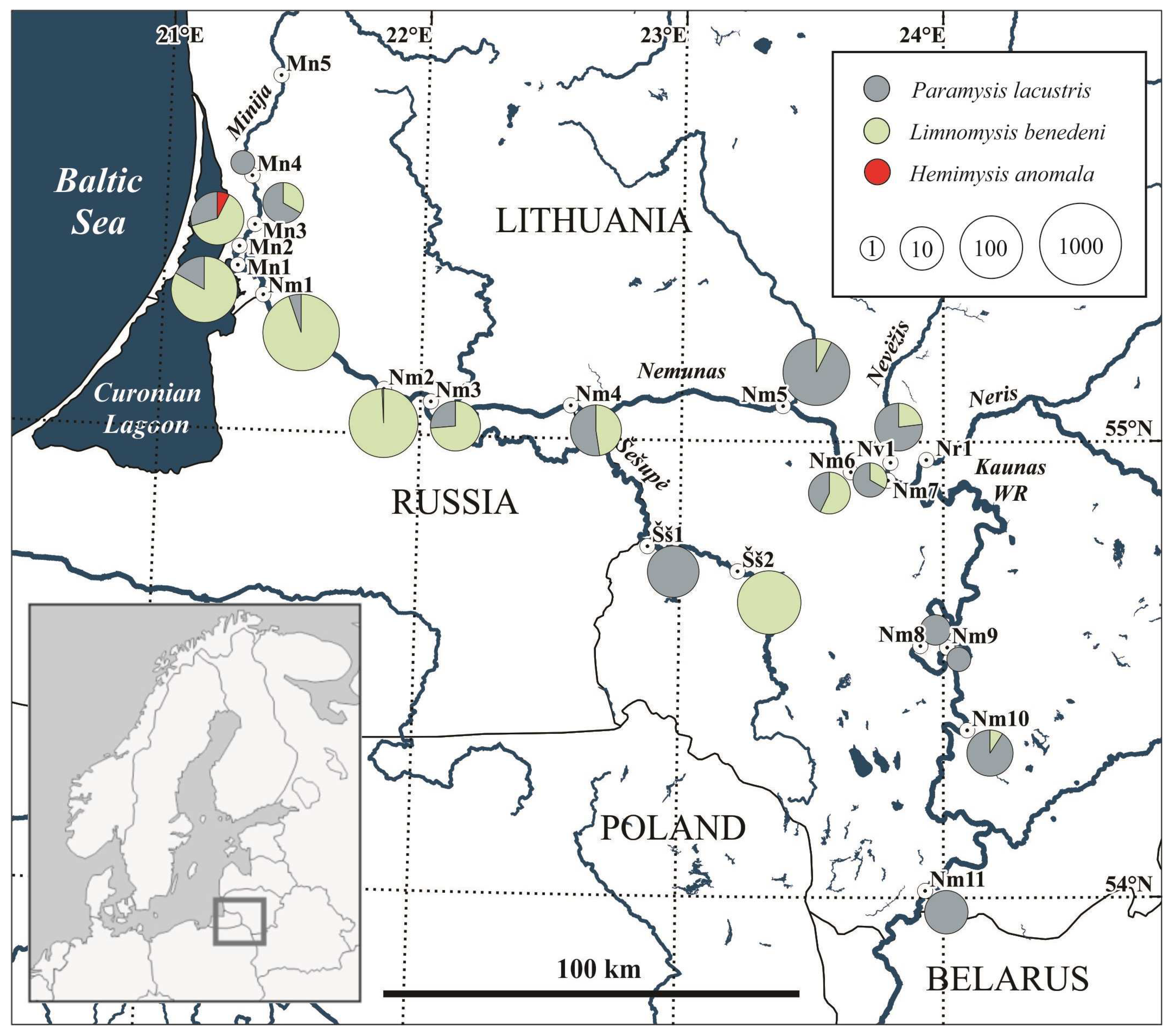 Diversity 17 00307 g002