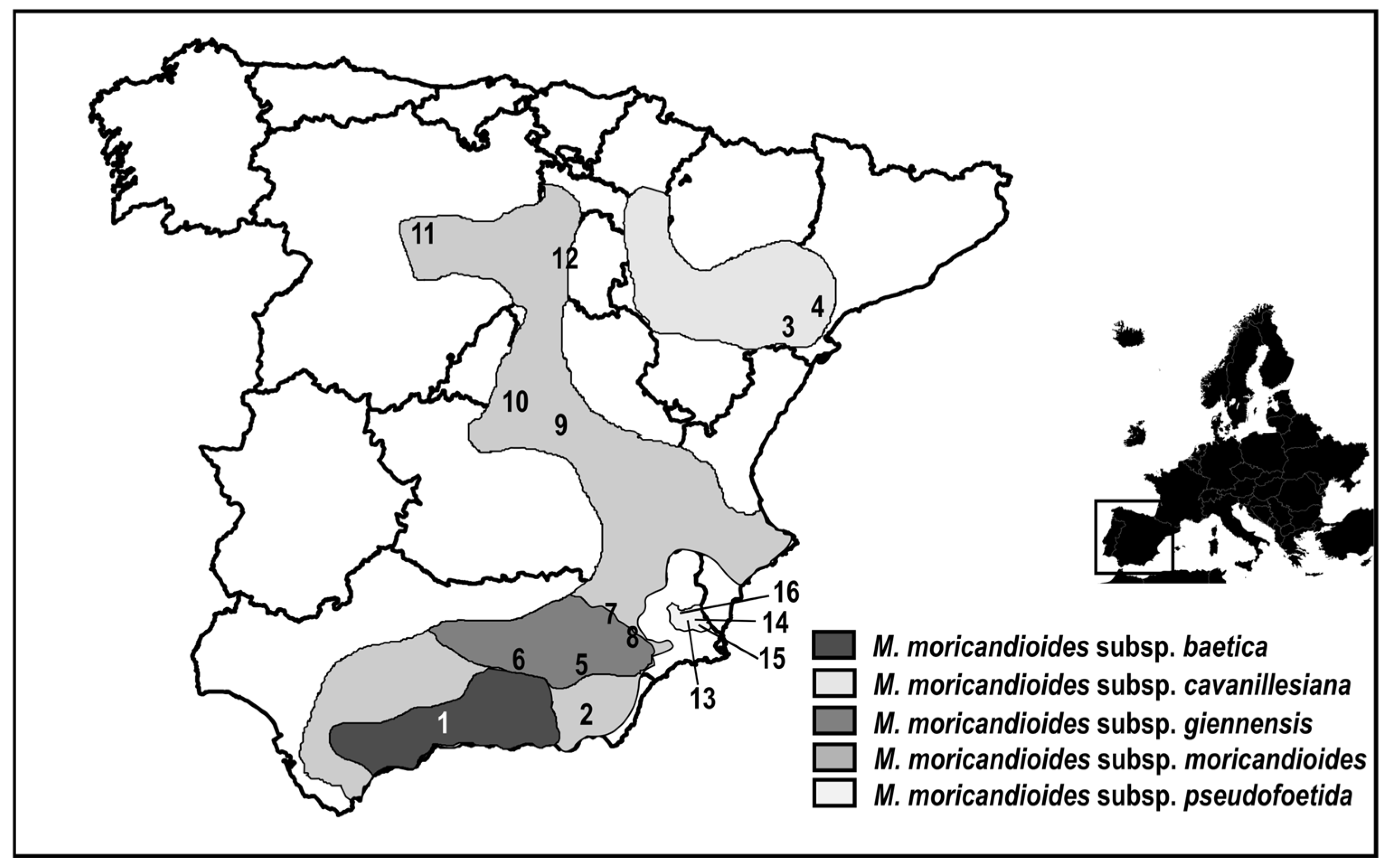 Diversity 17 00310 g001