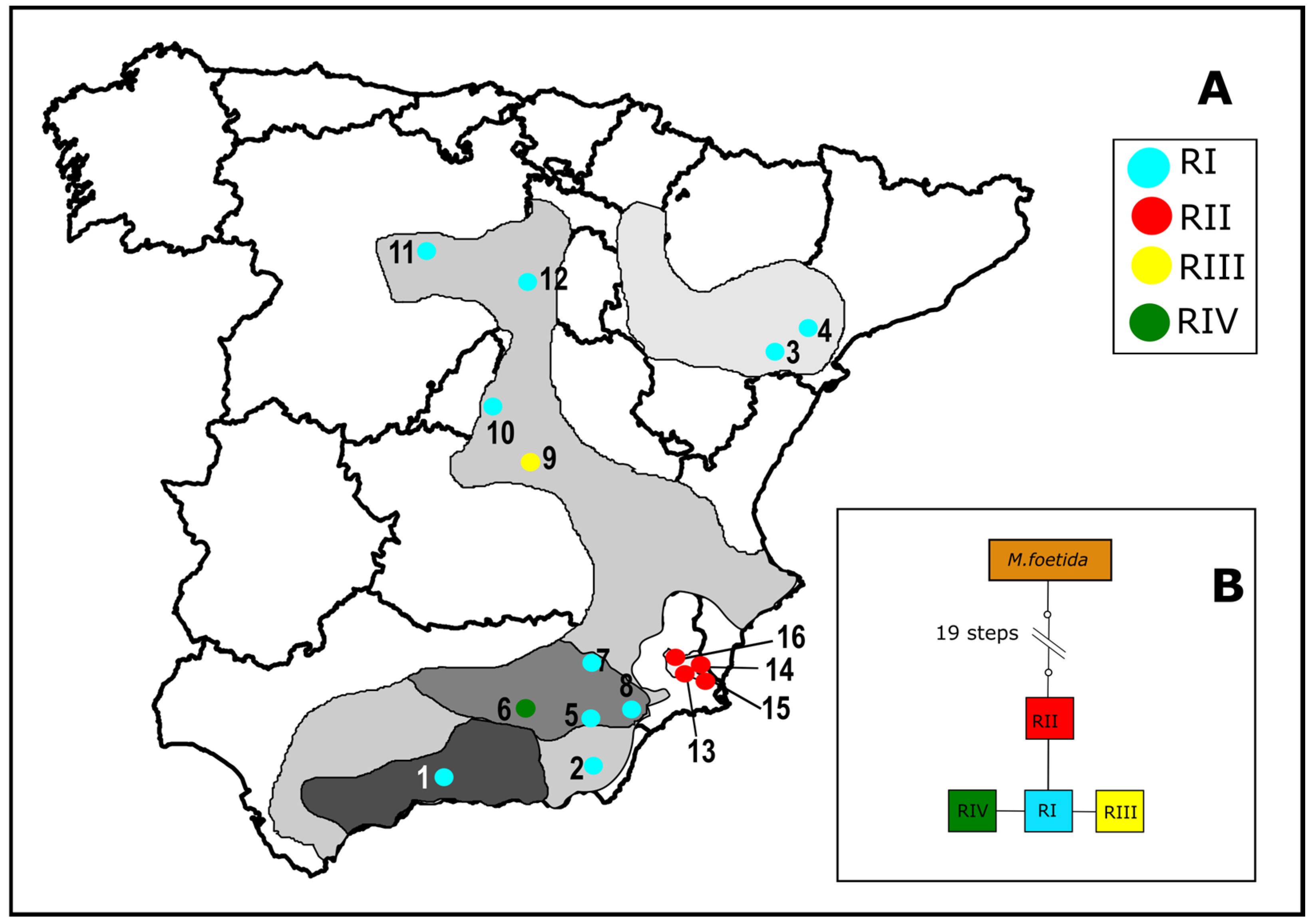 Diversity 17 00310 g003