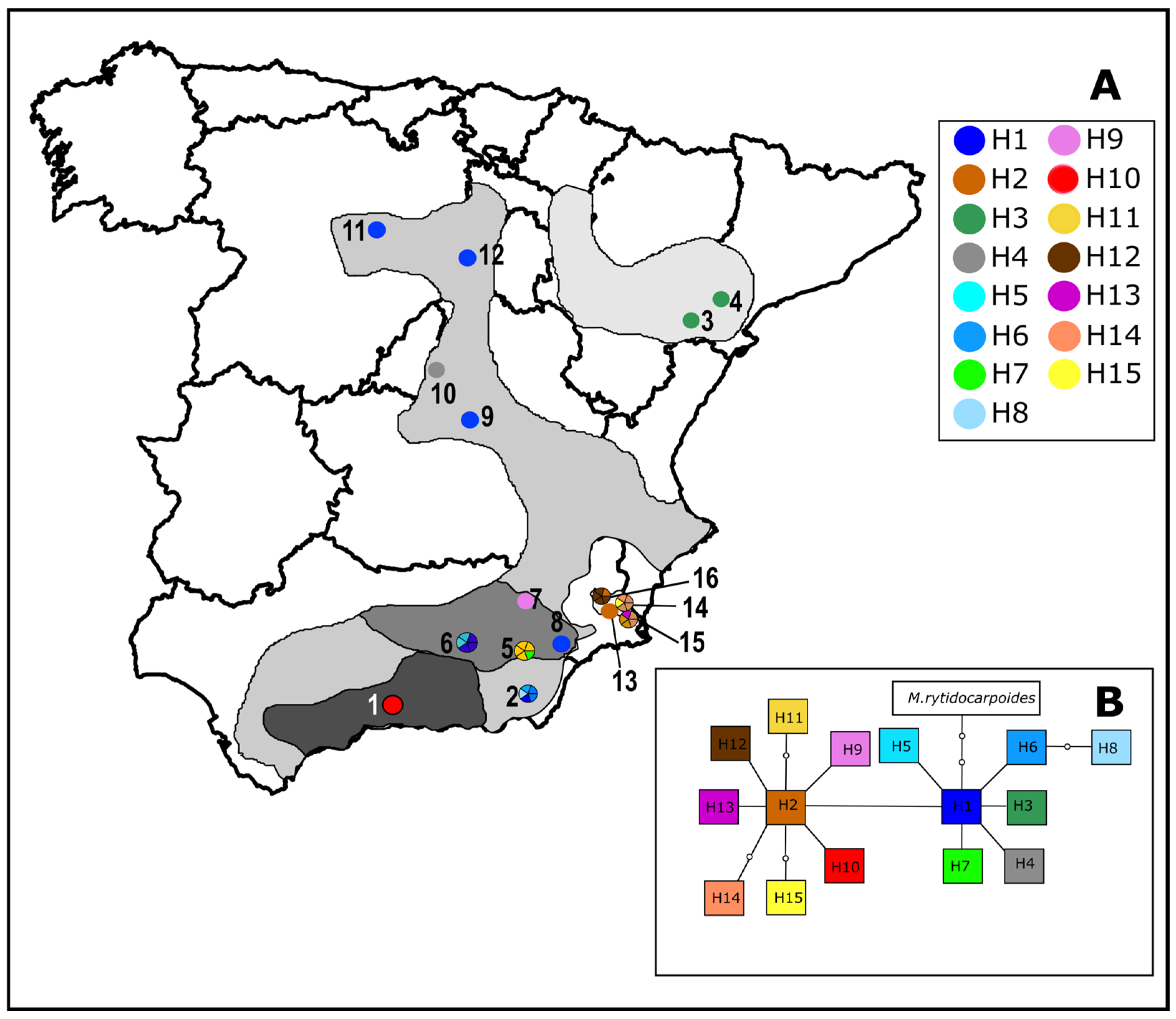 Diversity 17 00310 g004