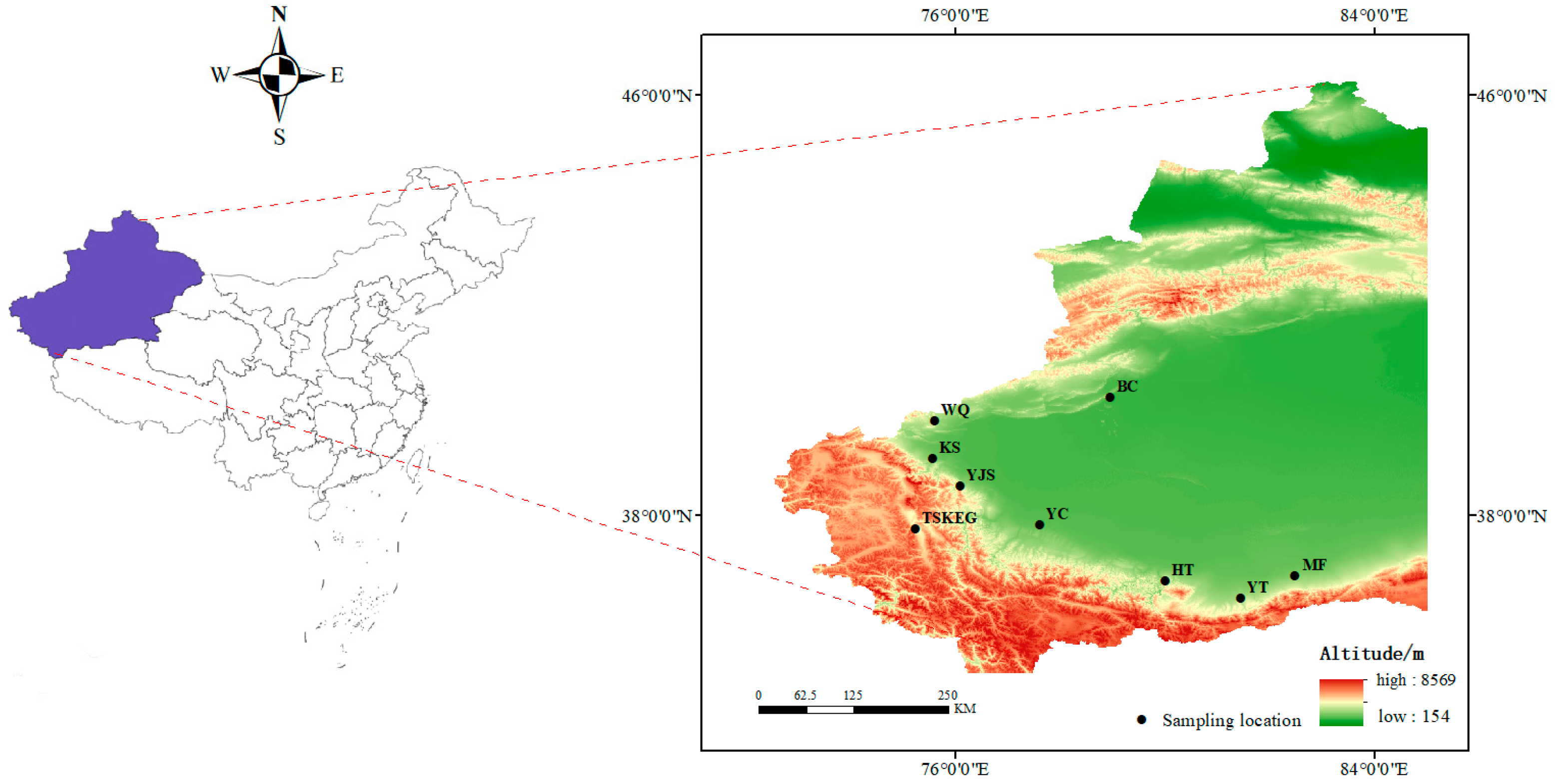 Diversity 17 00313 g001
