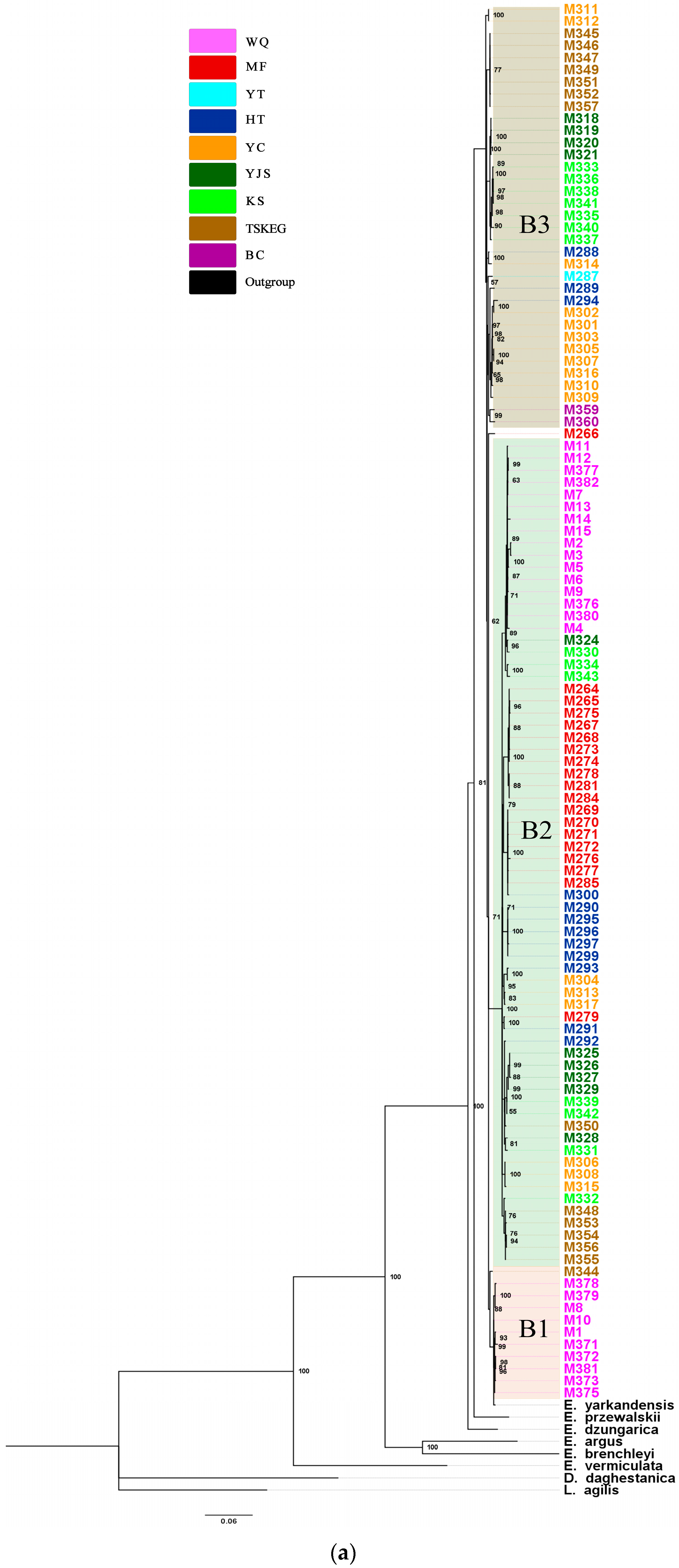 Diversity 17 00313 g002a