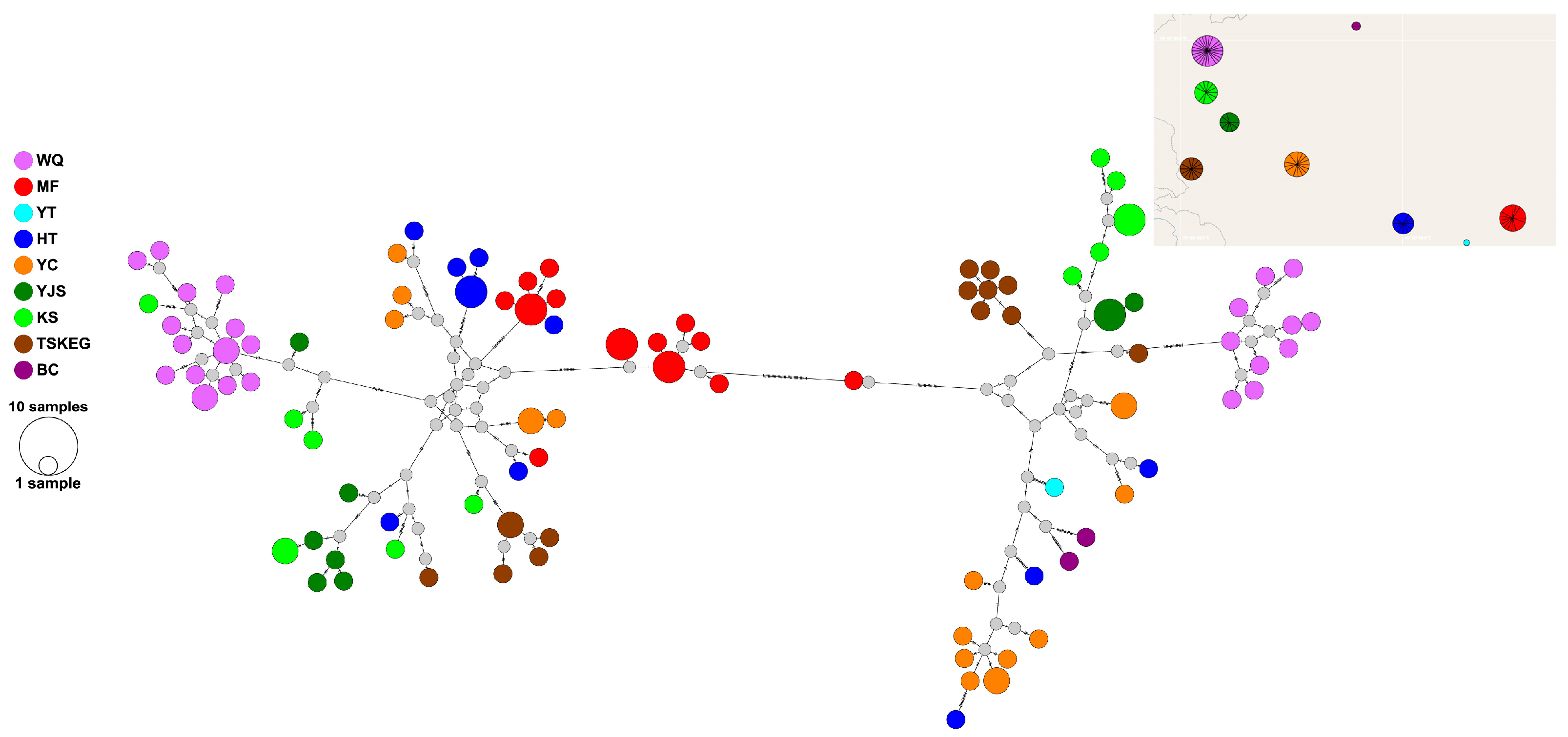 Diversity 17 00313 g003