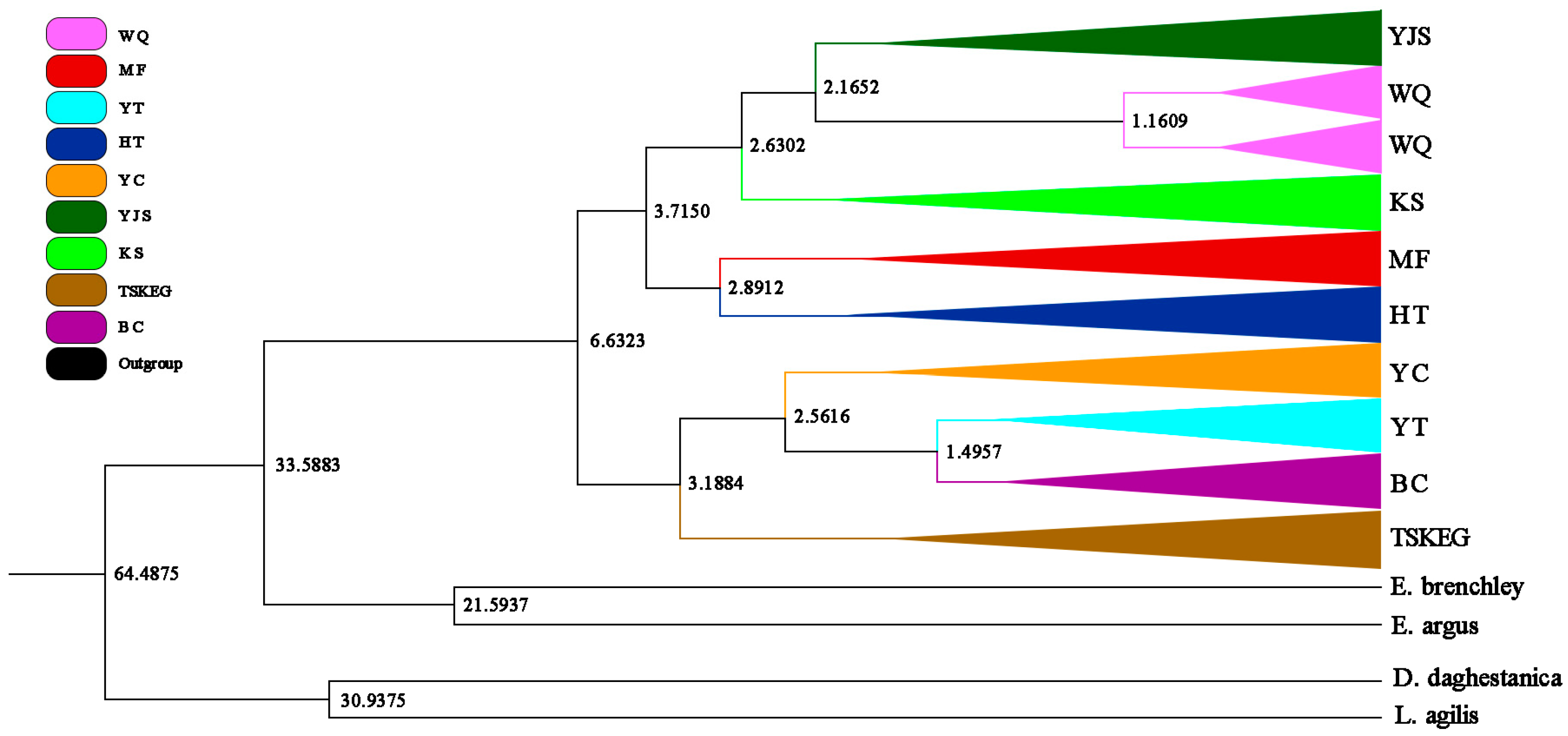 Diversity 17 00313 g004