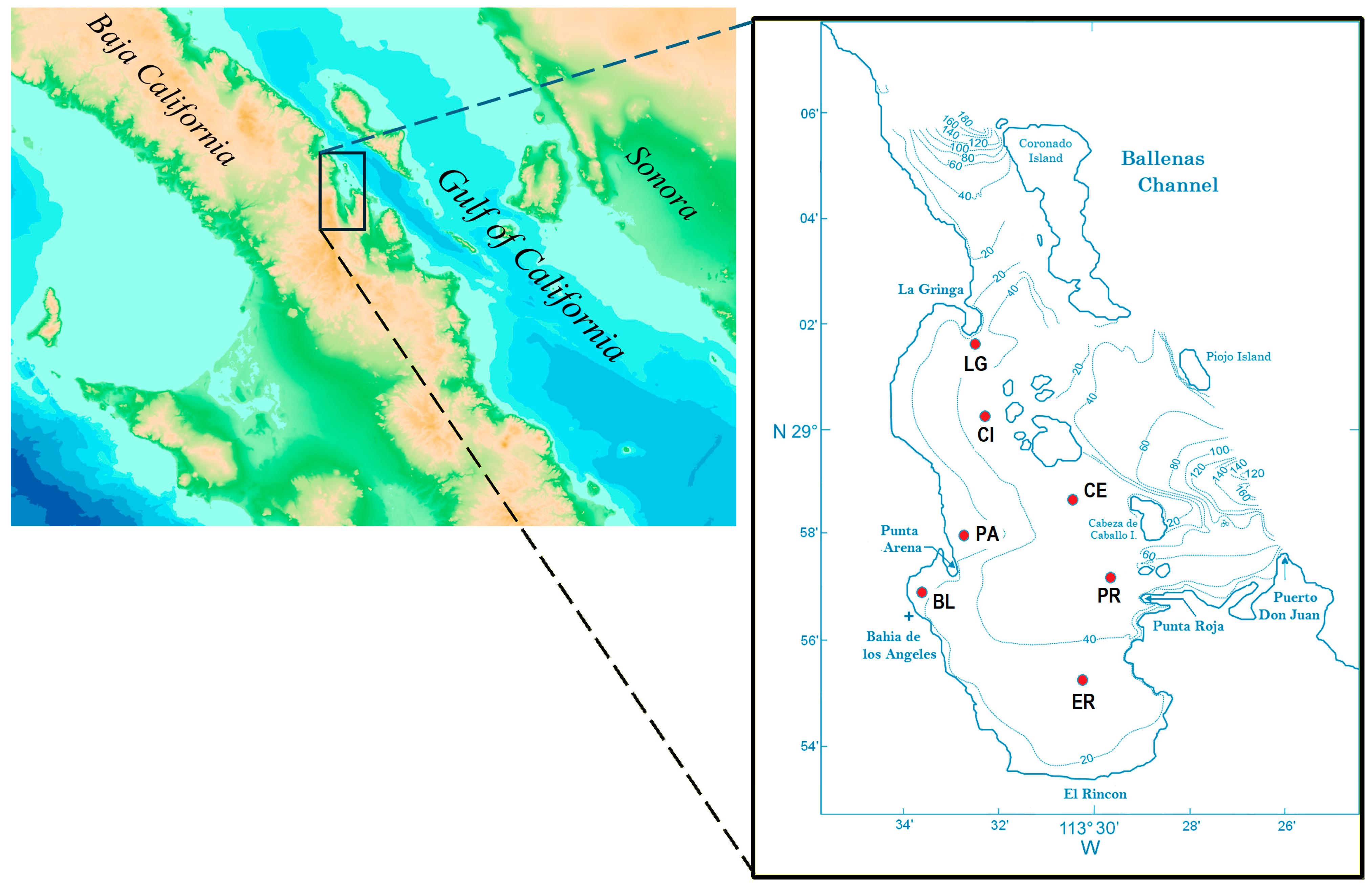Diversity 17 00316 g001 Diversity 17 00316 g001