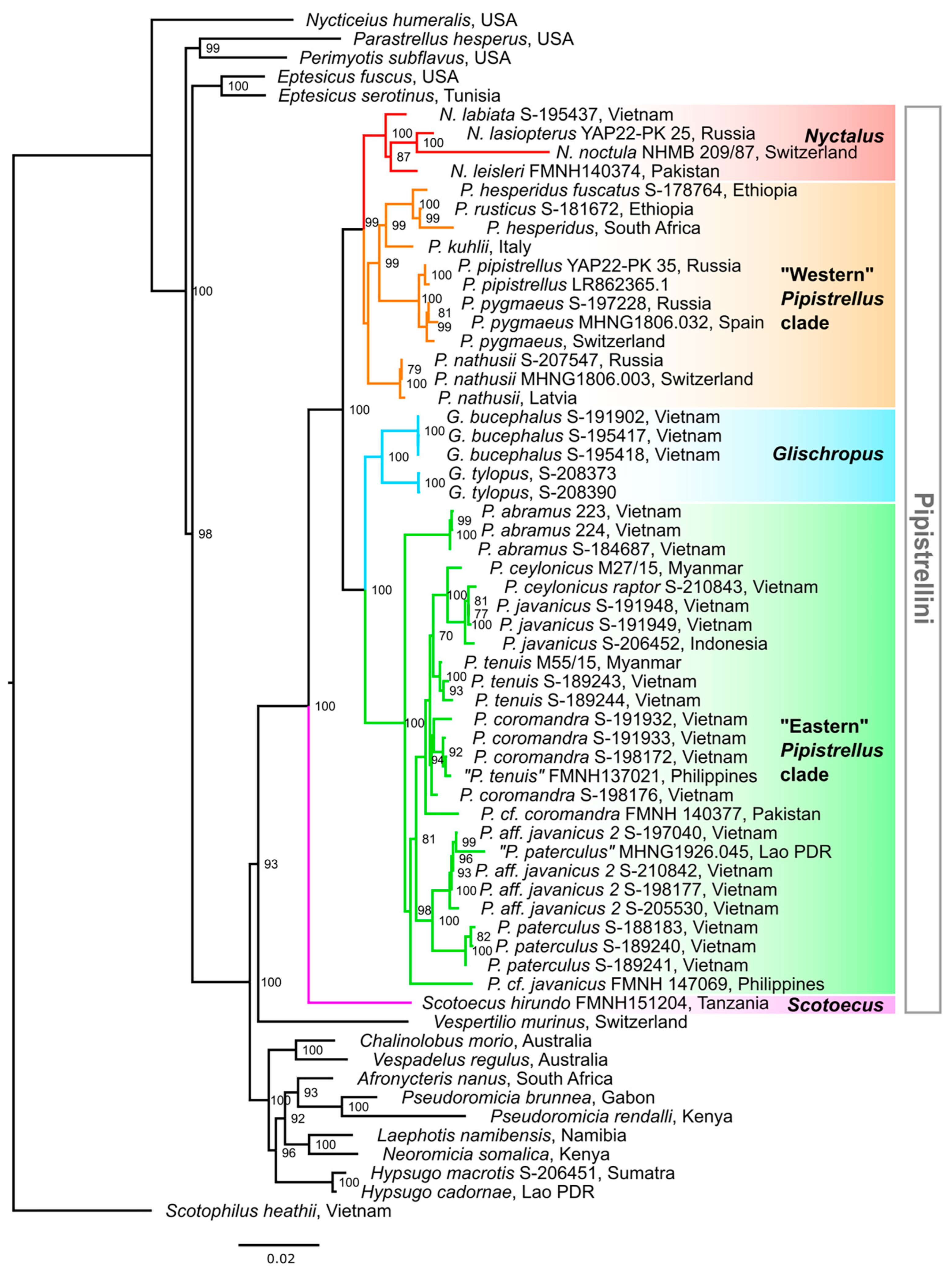 Diversity 17 00317 g002