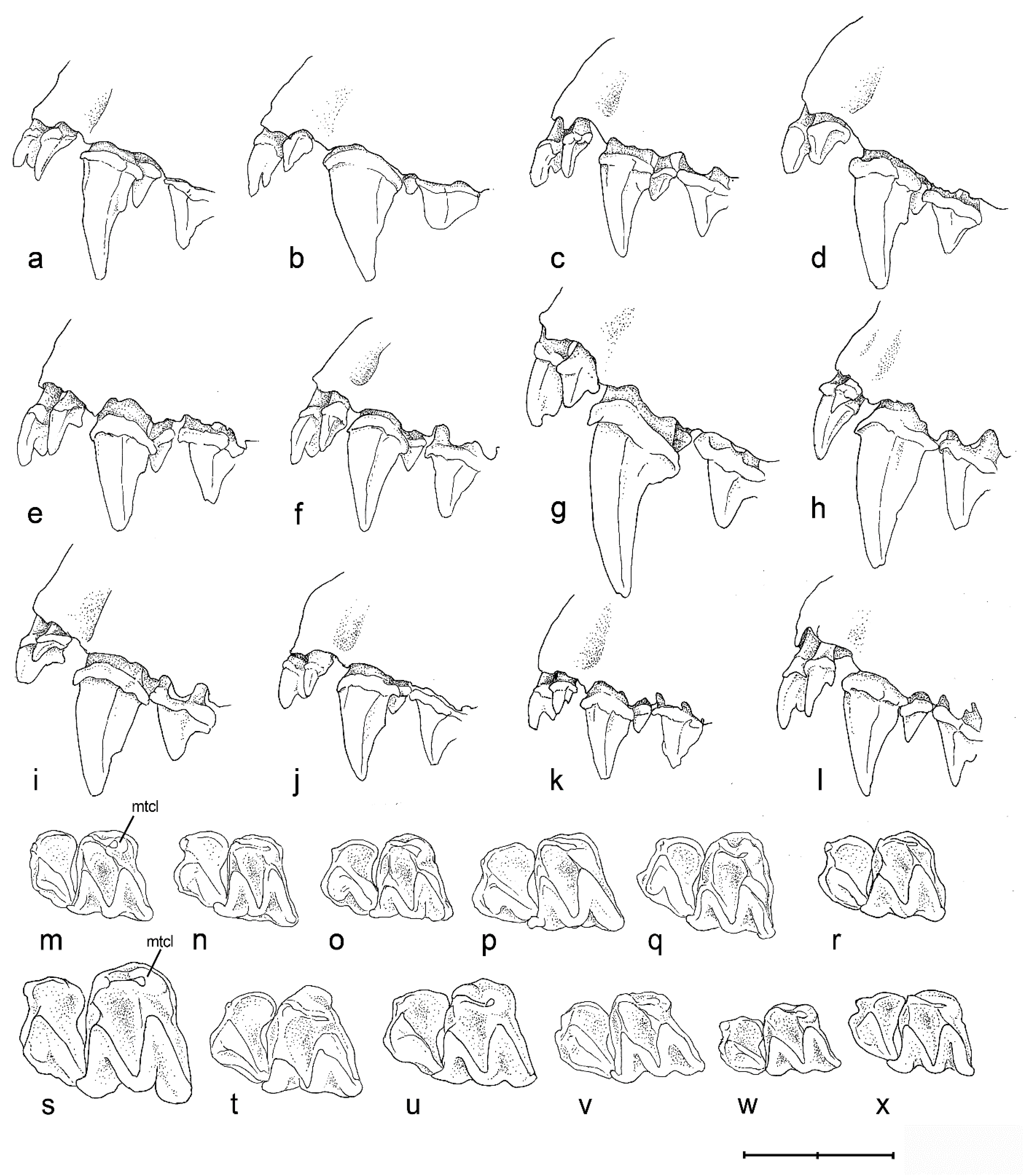Diversity 17 00317 g006