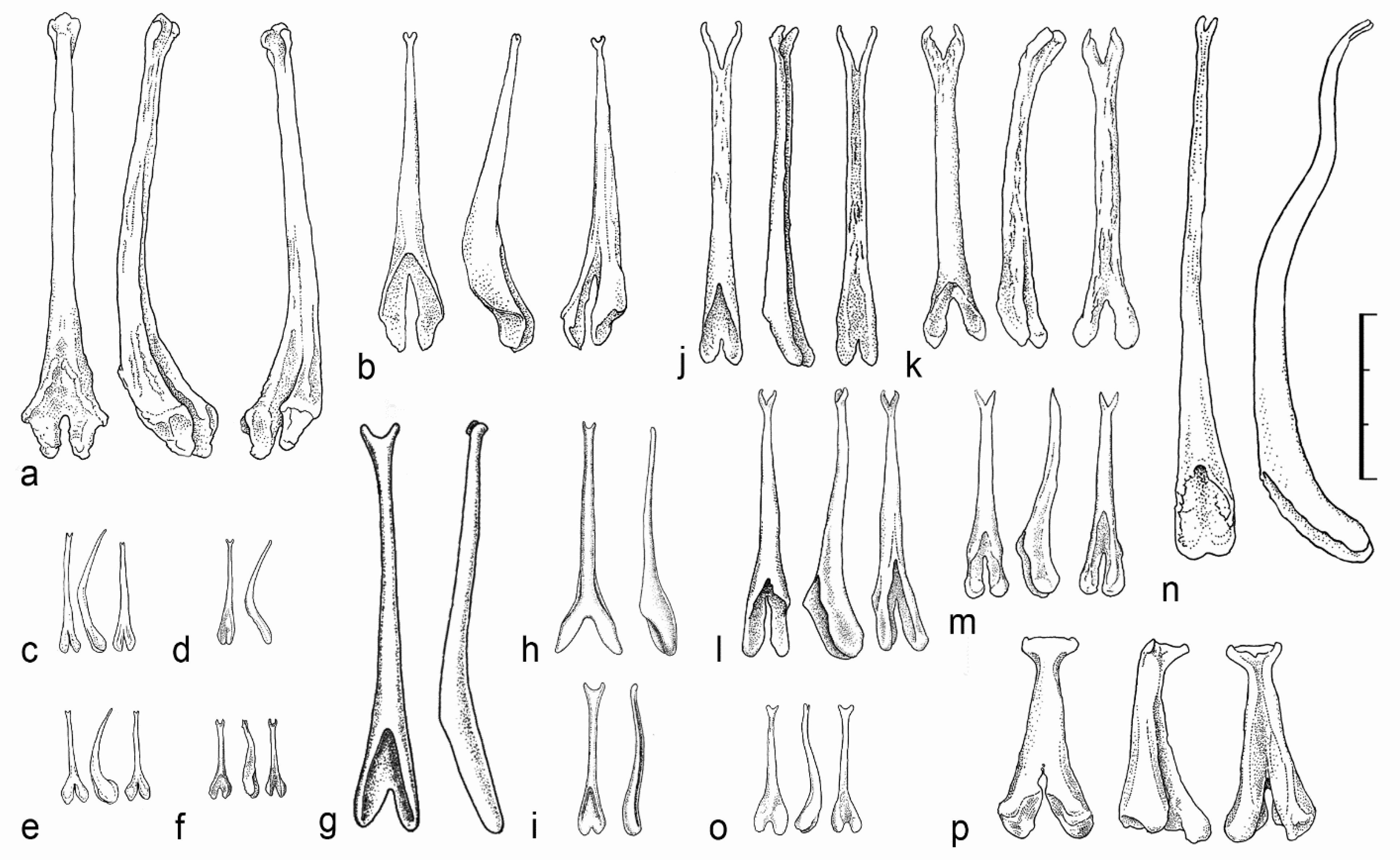 Diversity 17 00317 g007