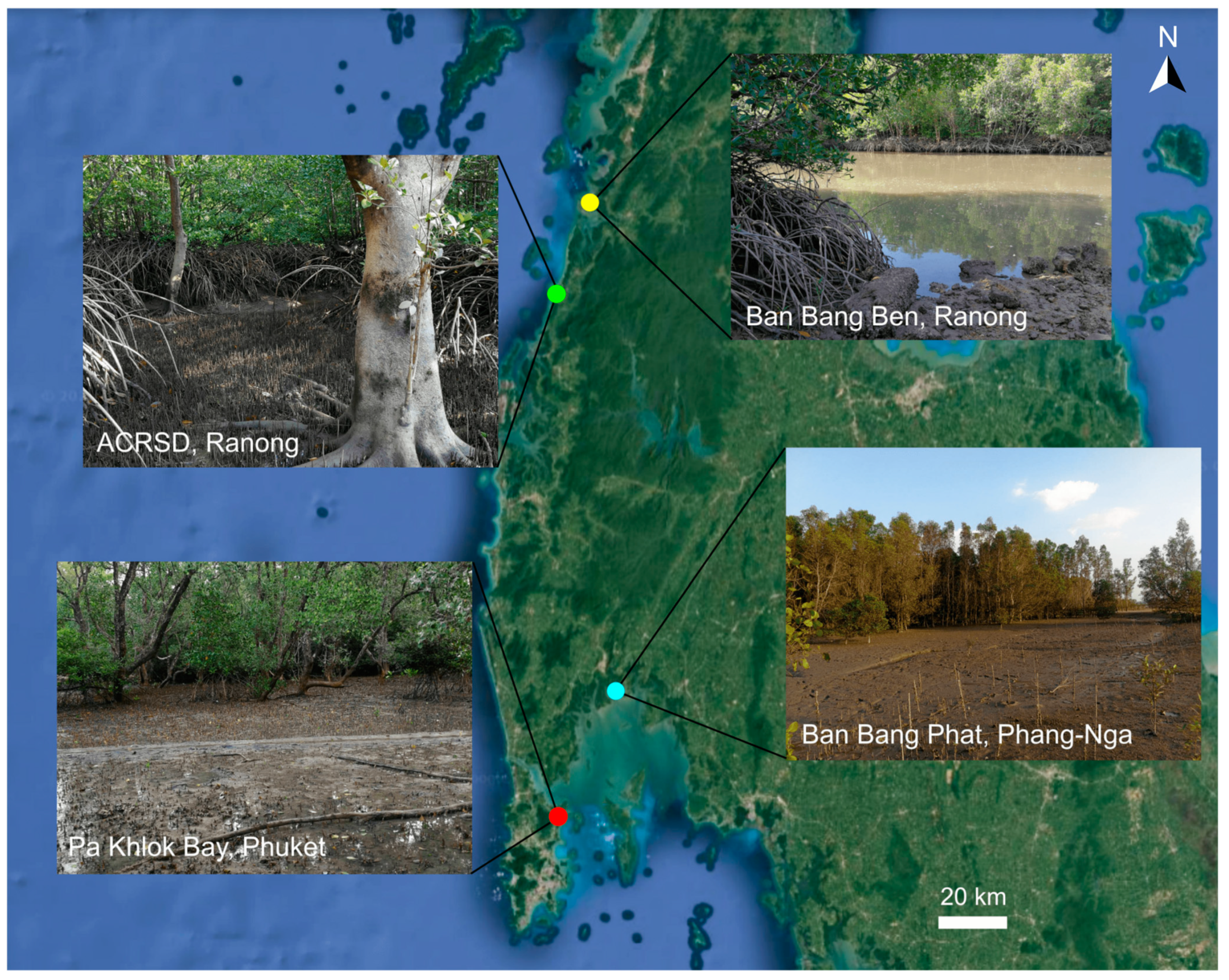 Diversity 17 00319 g001