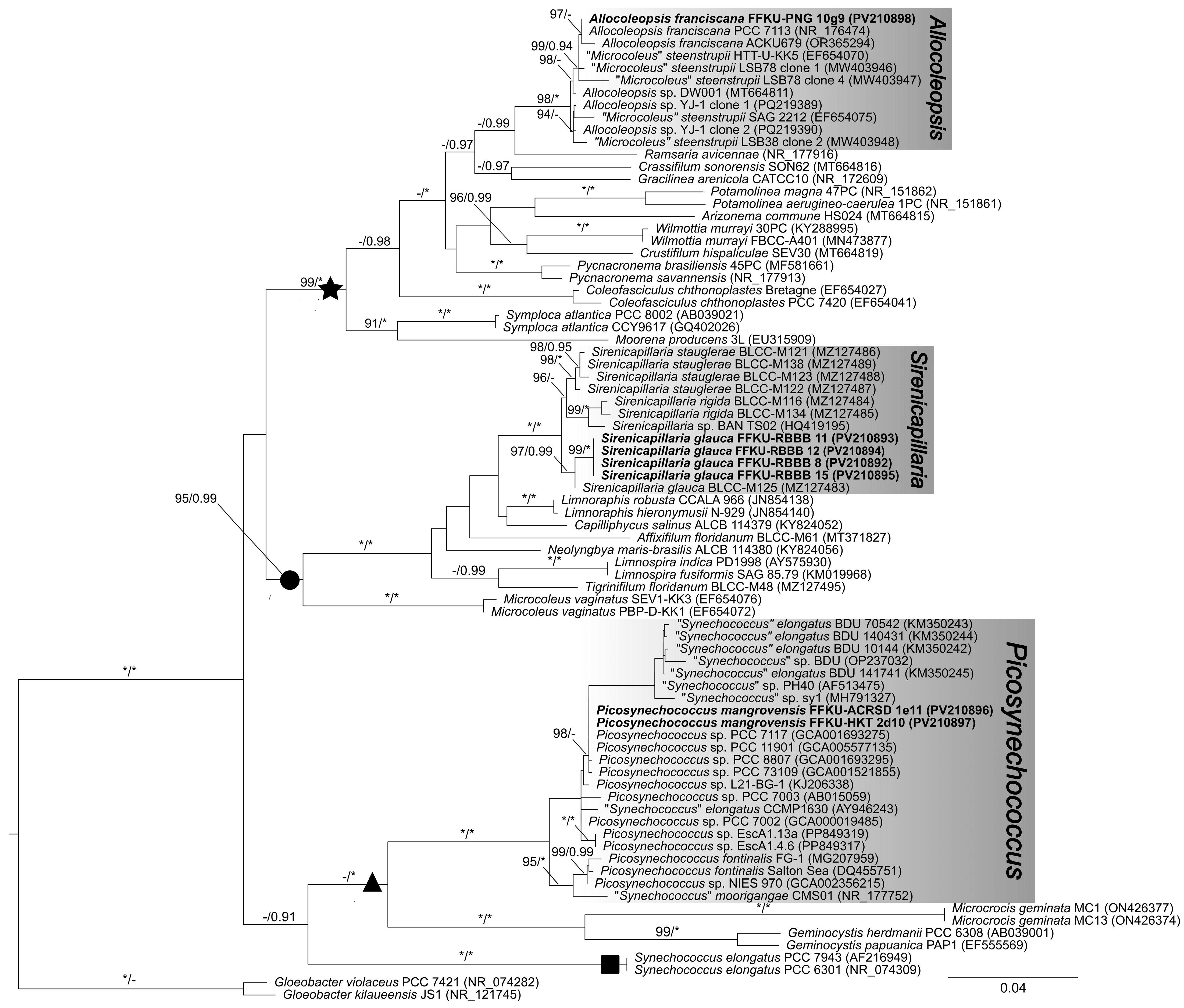 Diversity 17 00319 g002