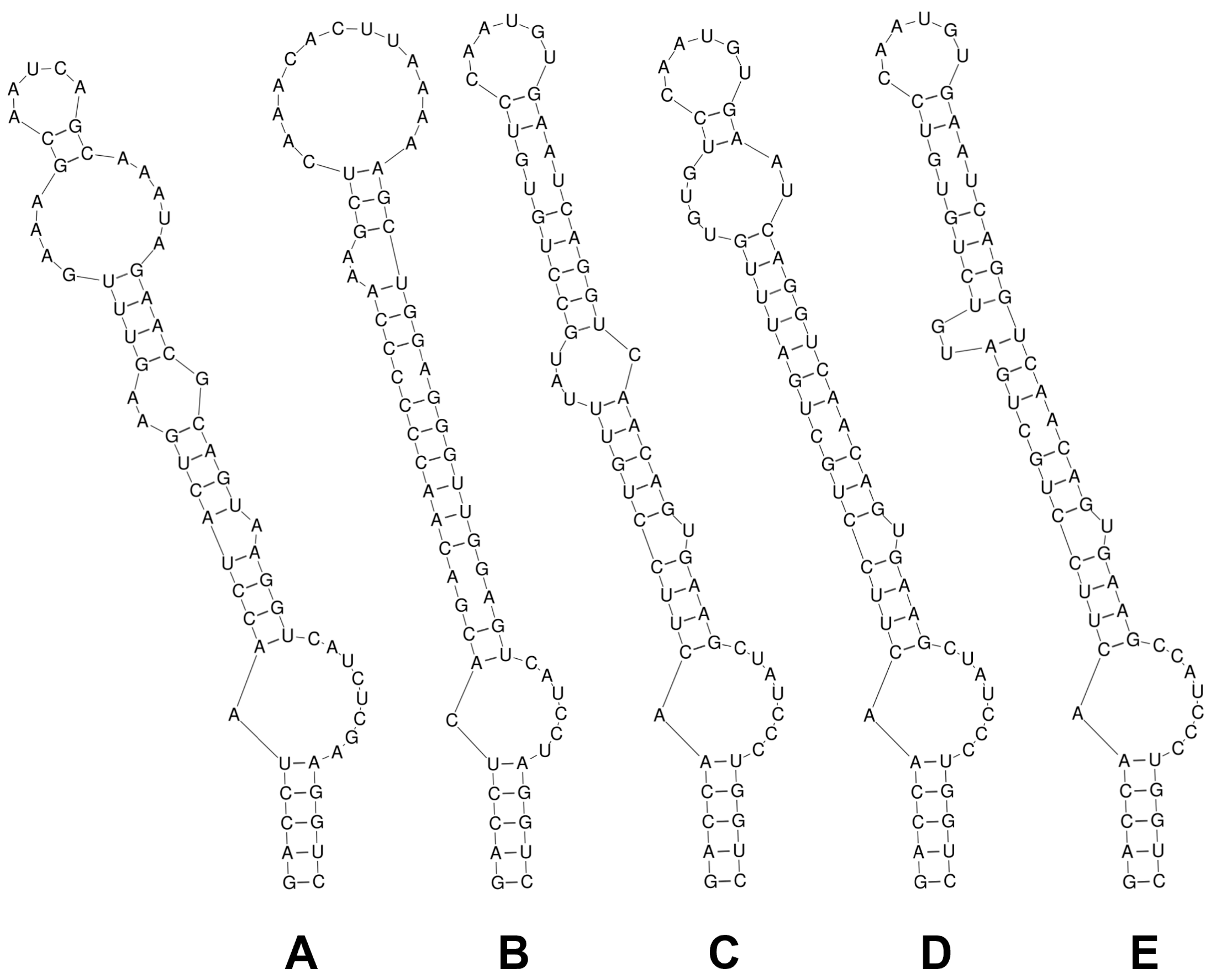 Diversity 17 00319 g003