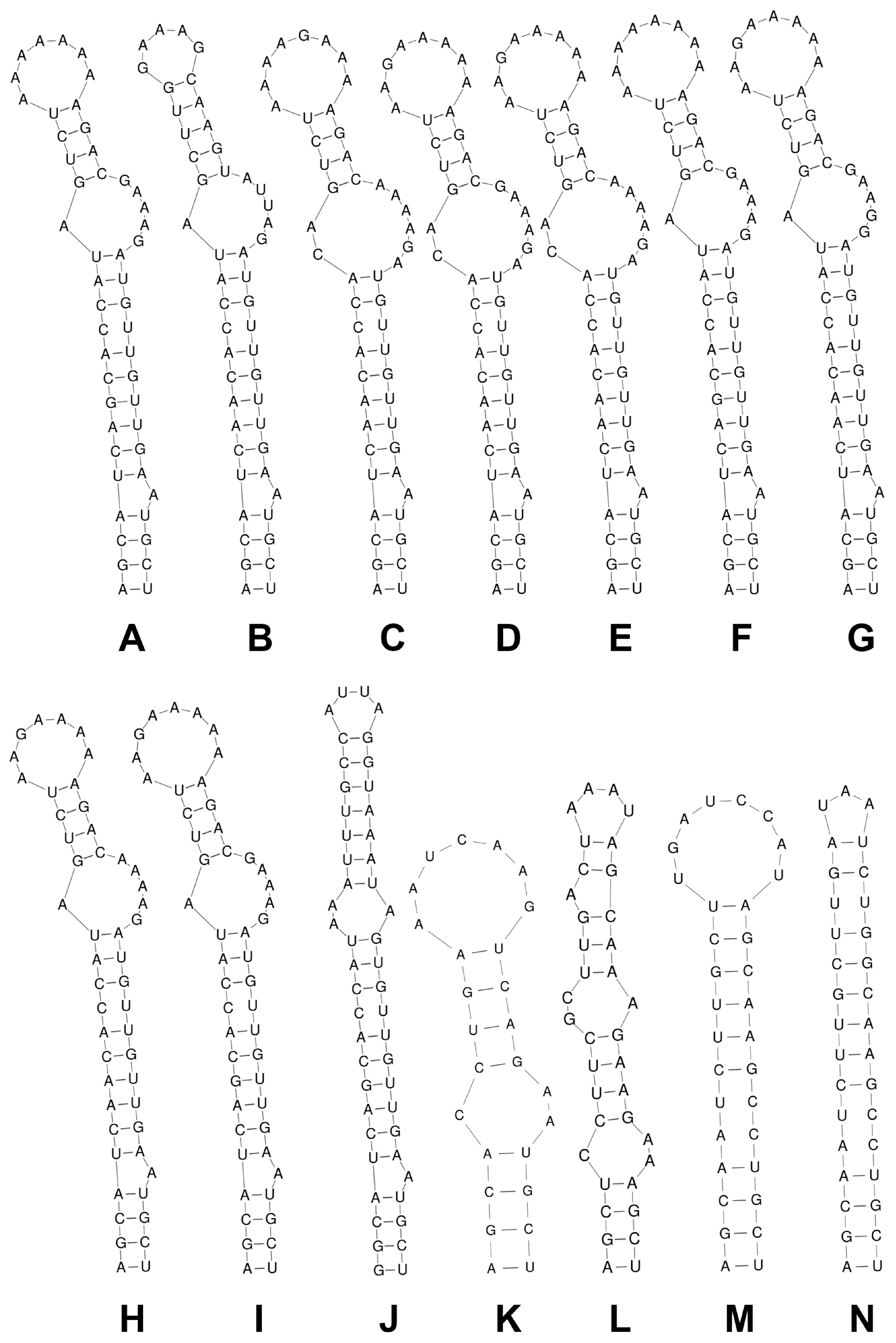 Diversity 17 00319 g004