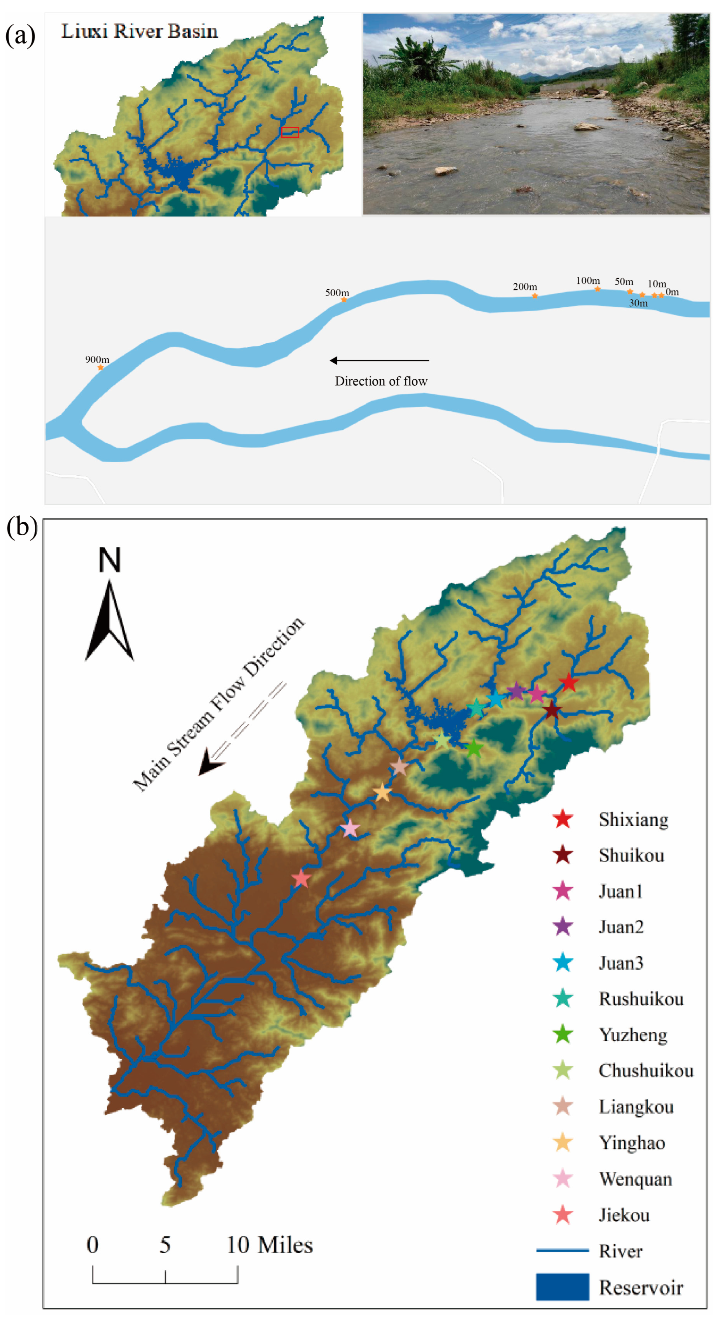 Diversity 17 00320 g002