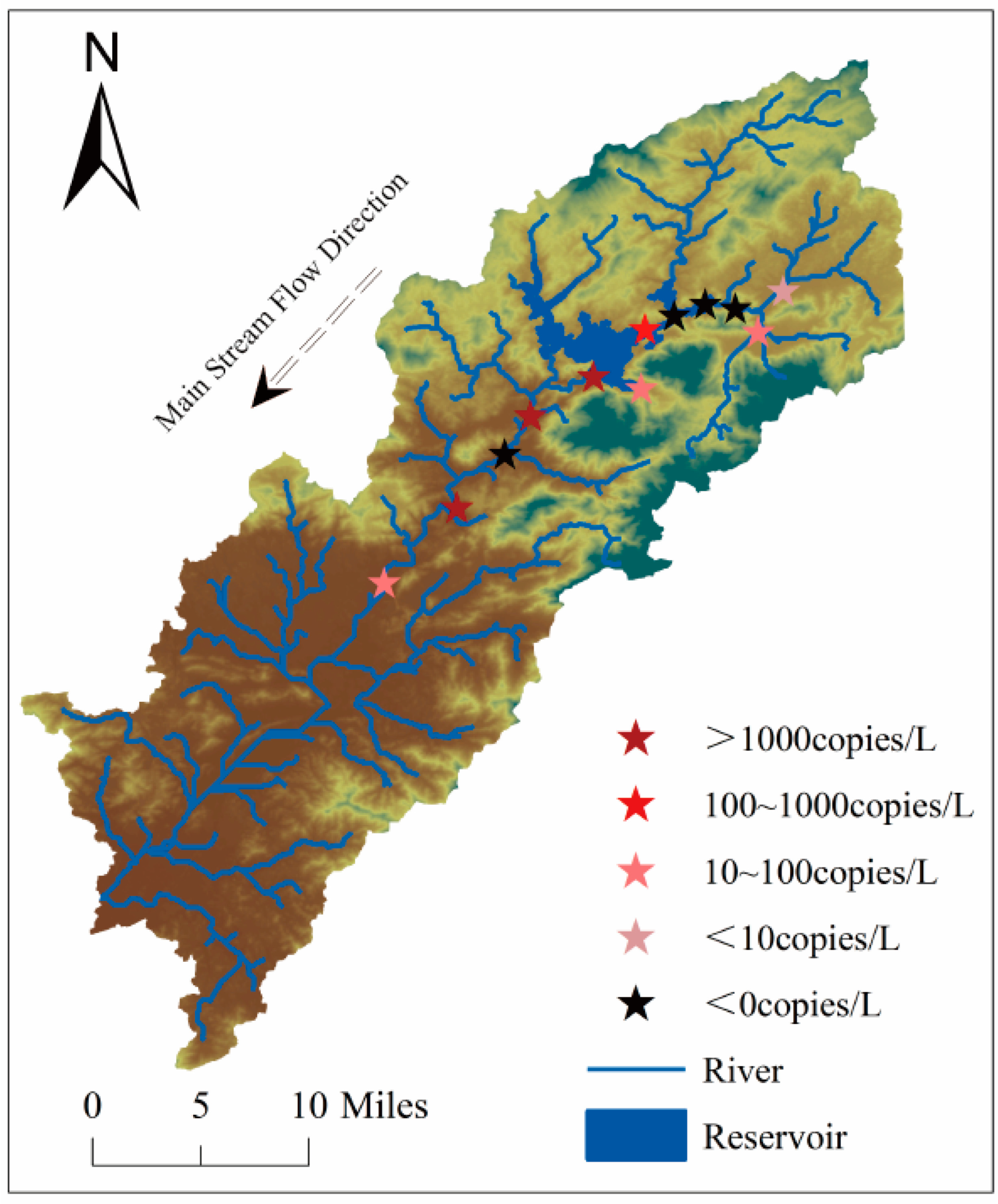 Diversity 17 00320 g006